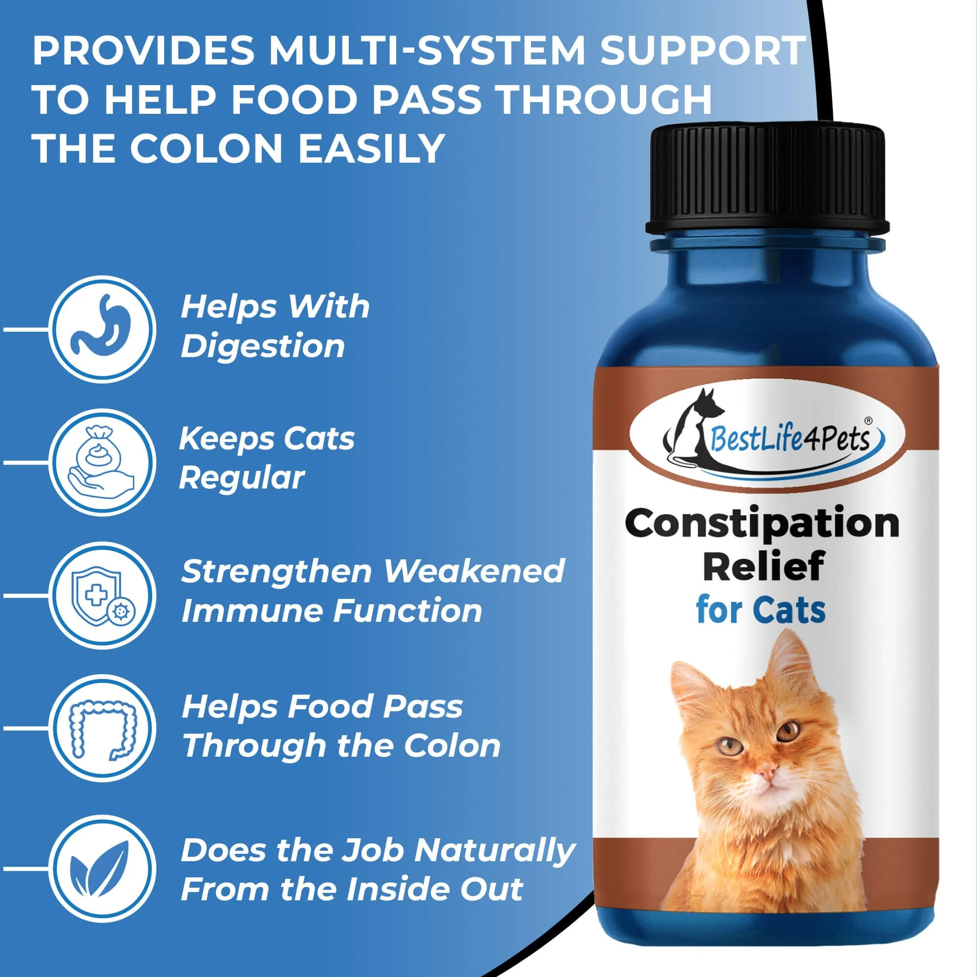 Natural Cat Laxative & Constipation Treatment by BestLife4Pets - Image 4