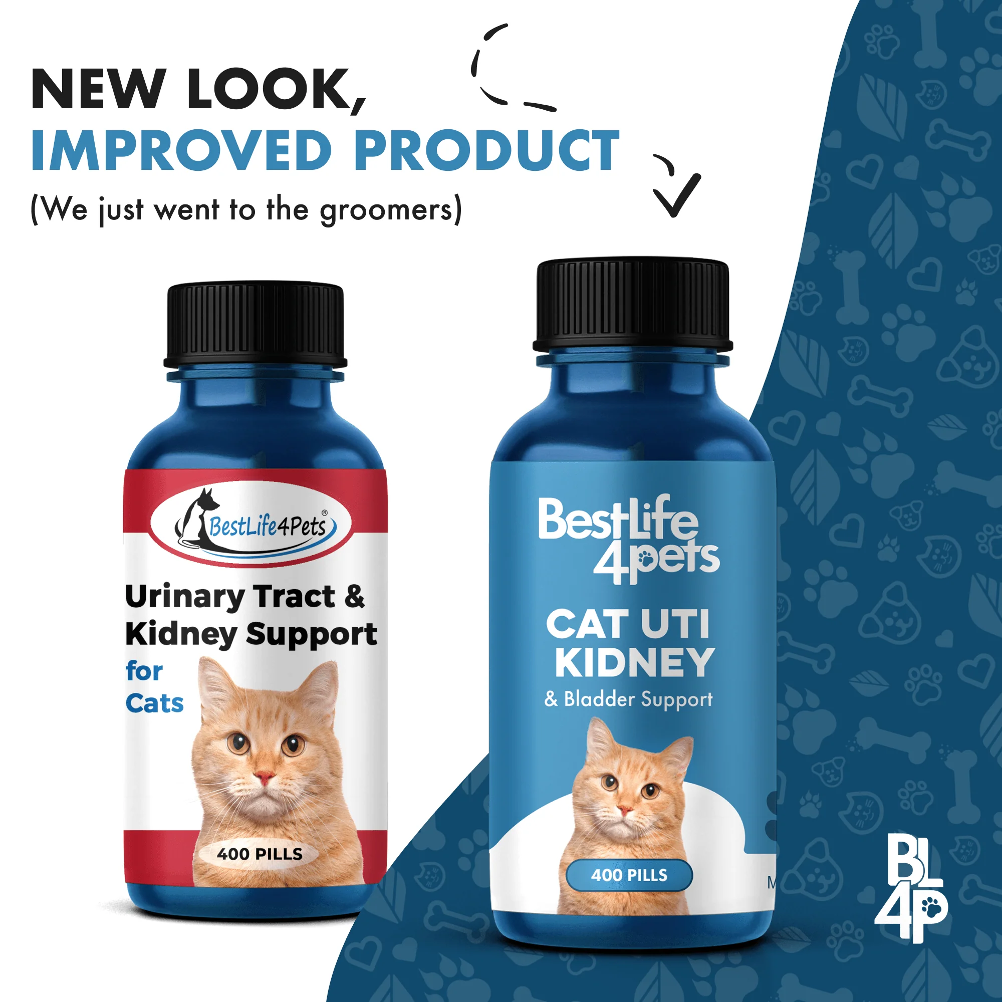 Natural Cat UTI & Kidney Remedy - Reduces Infections and Supports Optimal Bladder Function by BestLife4Pets - Image 2