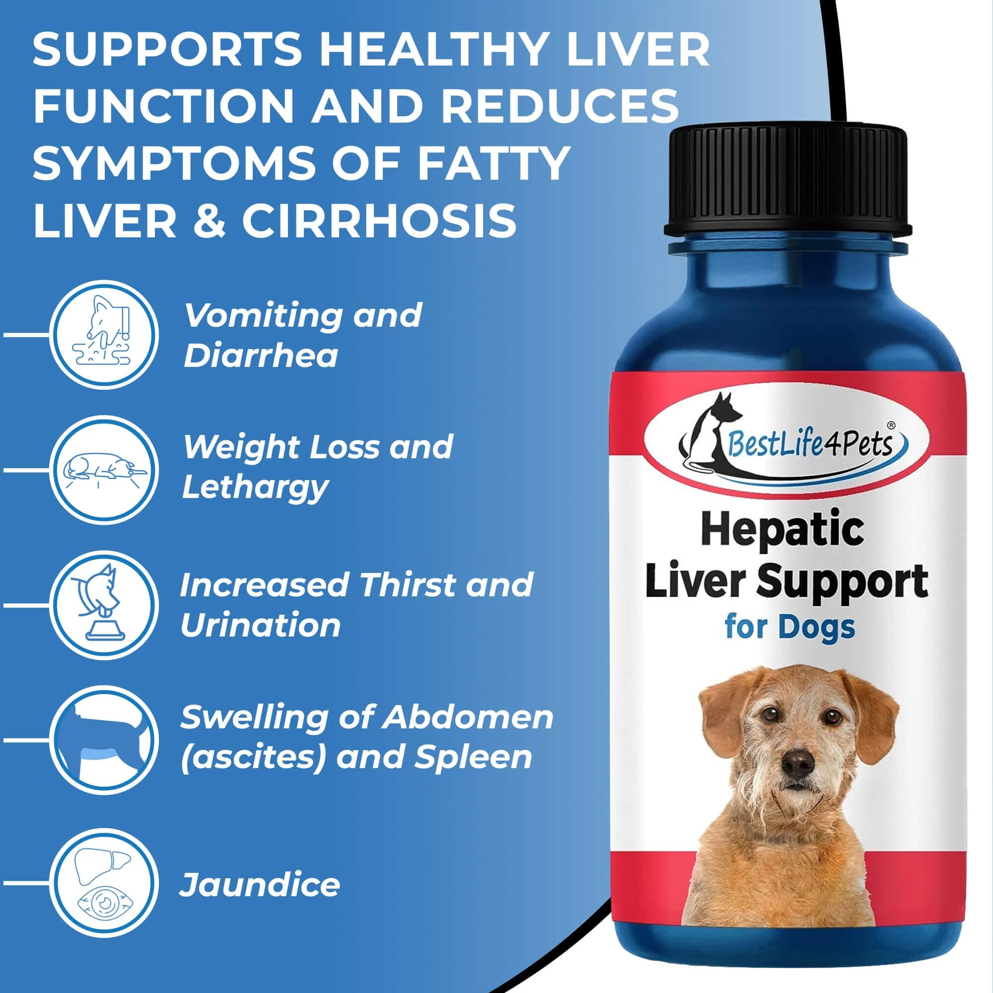 Natural Hepatic Dog Liver Support Tablets by BestLife4Pets - Image 4