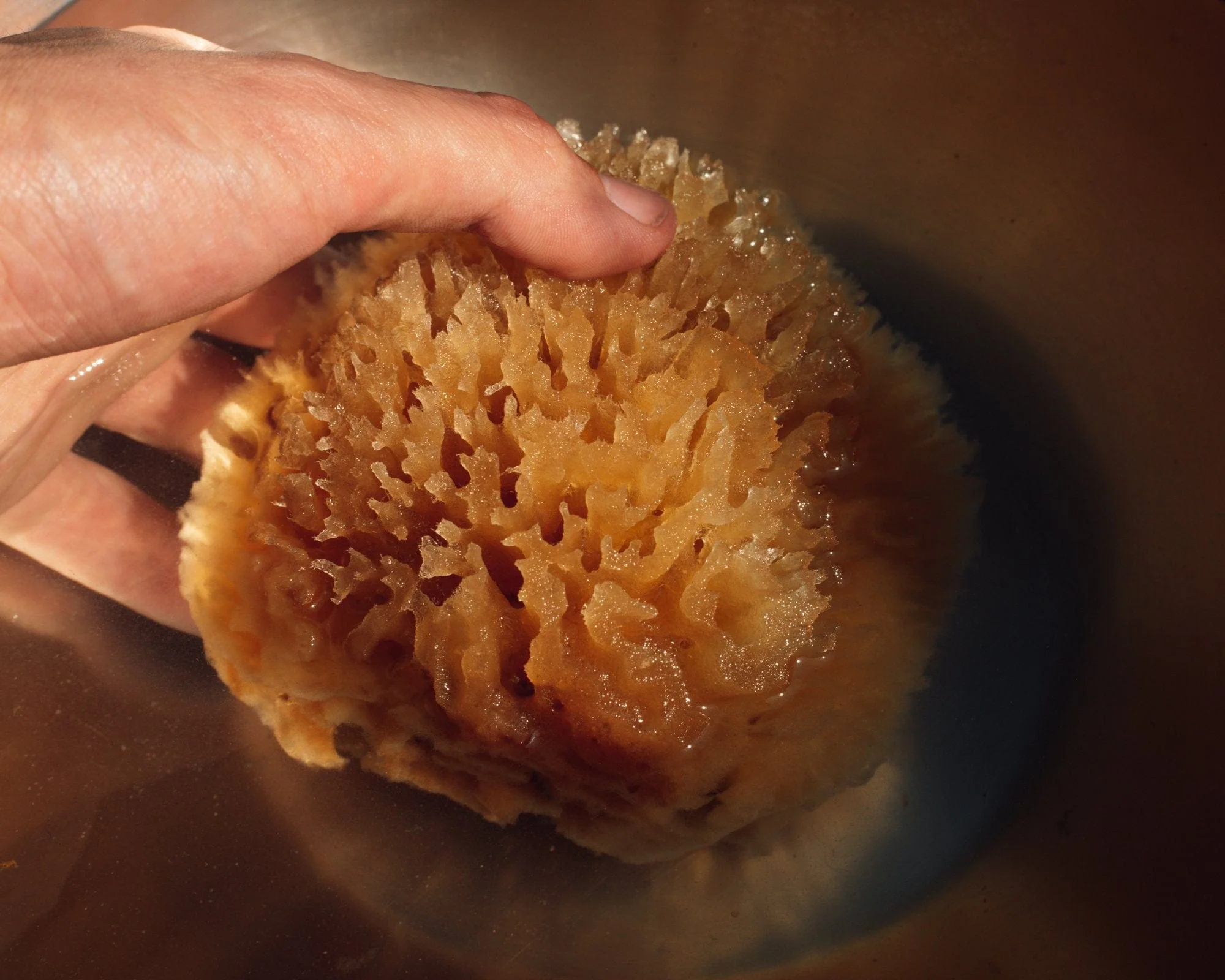 Natural Sea Wool Sponge by Firsthand Supply - Image 3