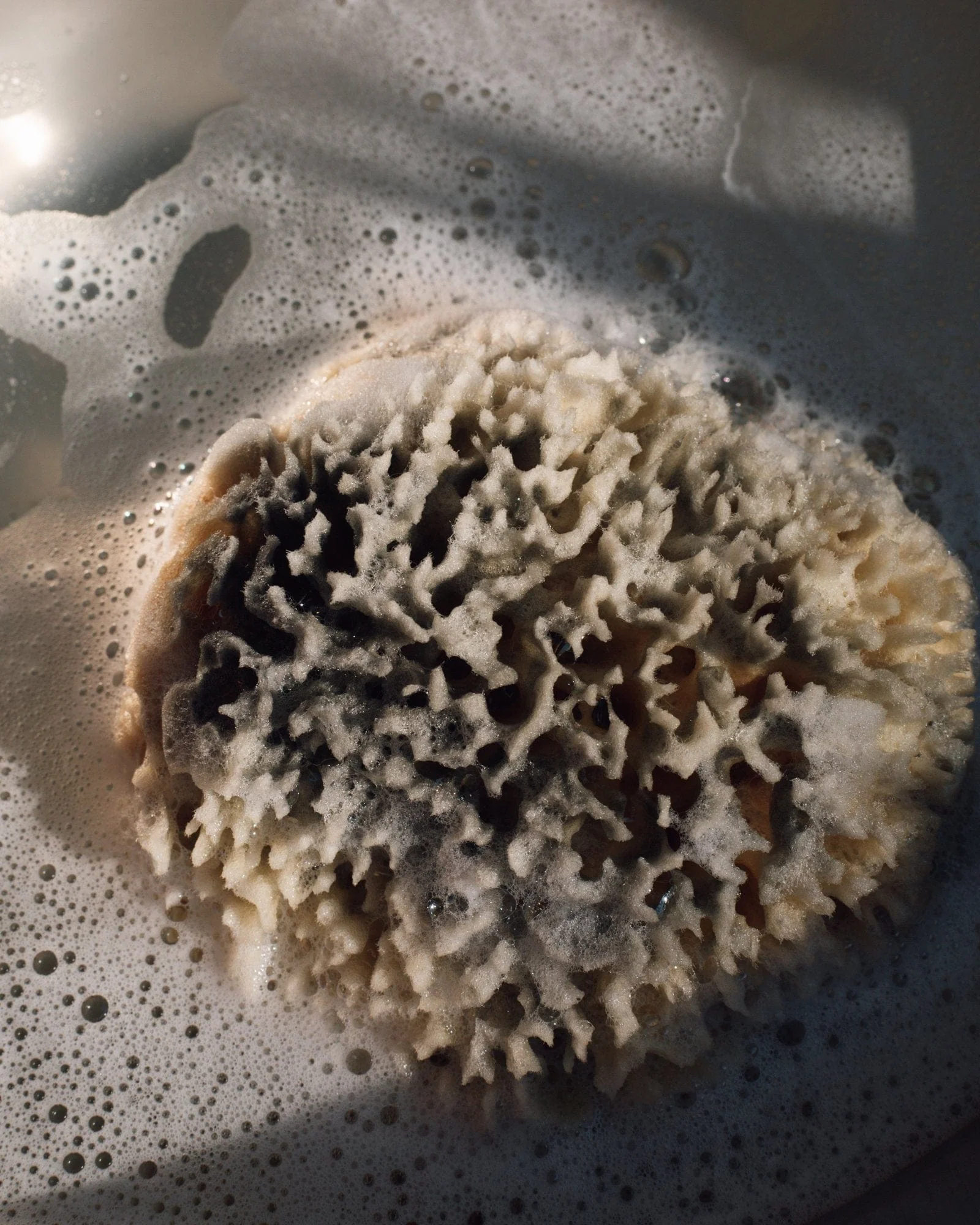 Natural Sea Wool Sponge by Firsthand Supply - Image 5