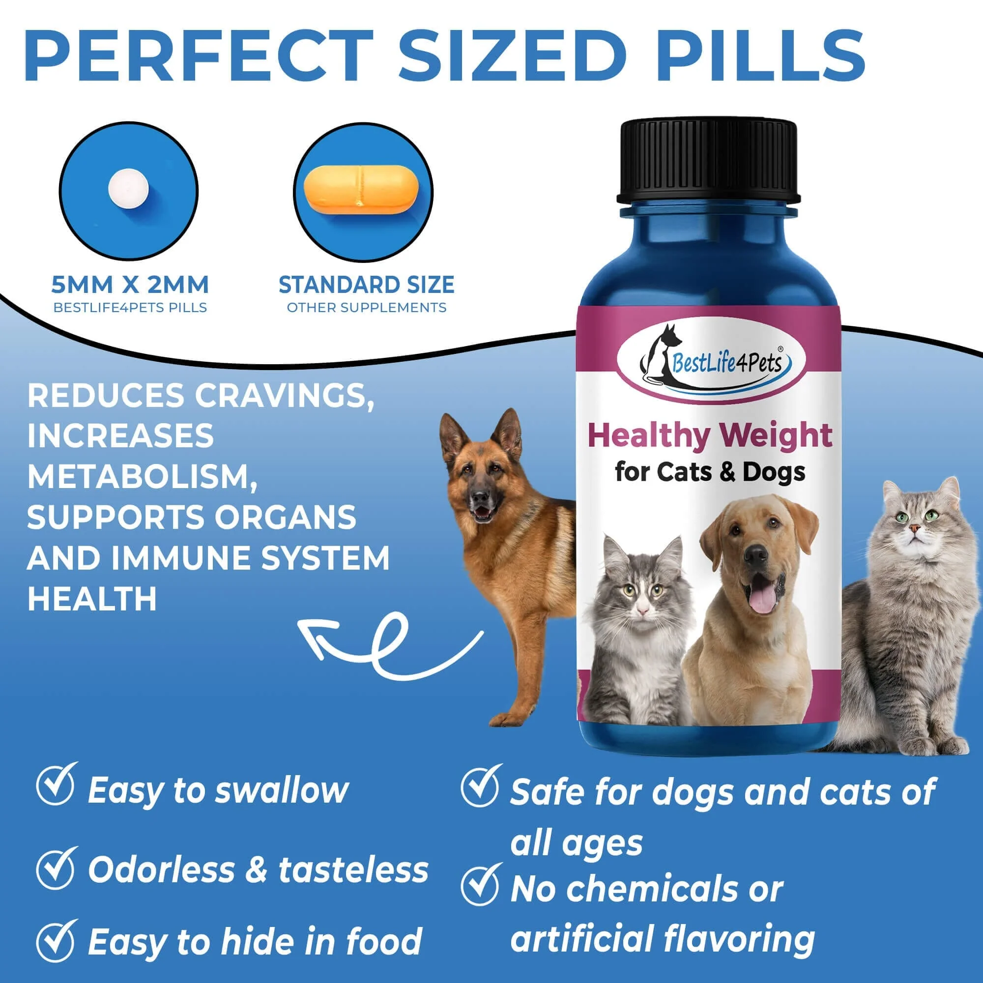 Natural Weight Loss & Thyroid Support Supplement for Dogs & Cats by BestLife4Pets - Image 6