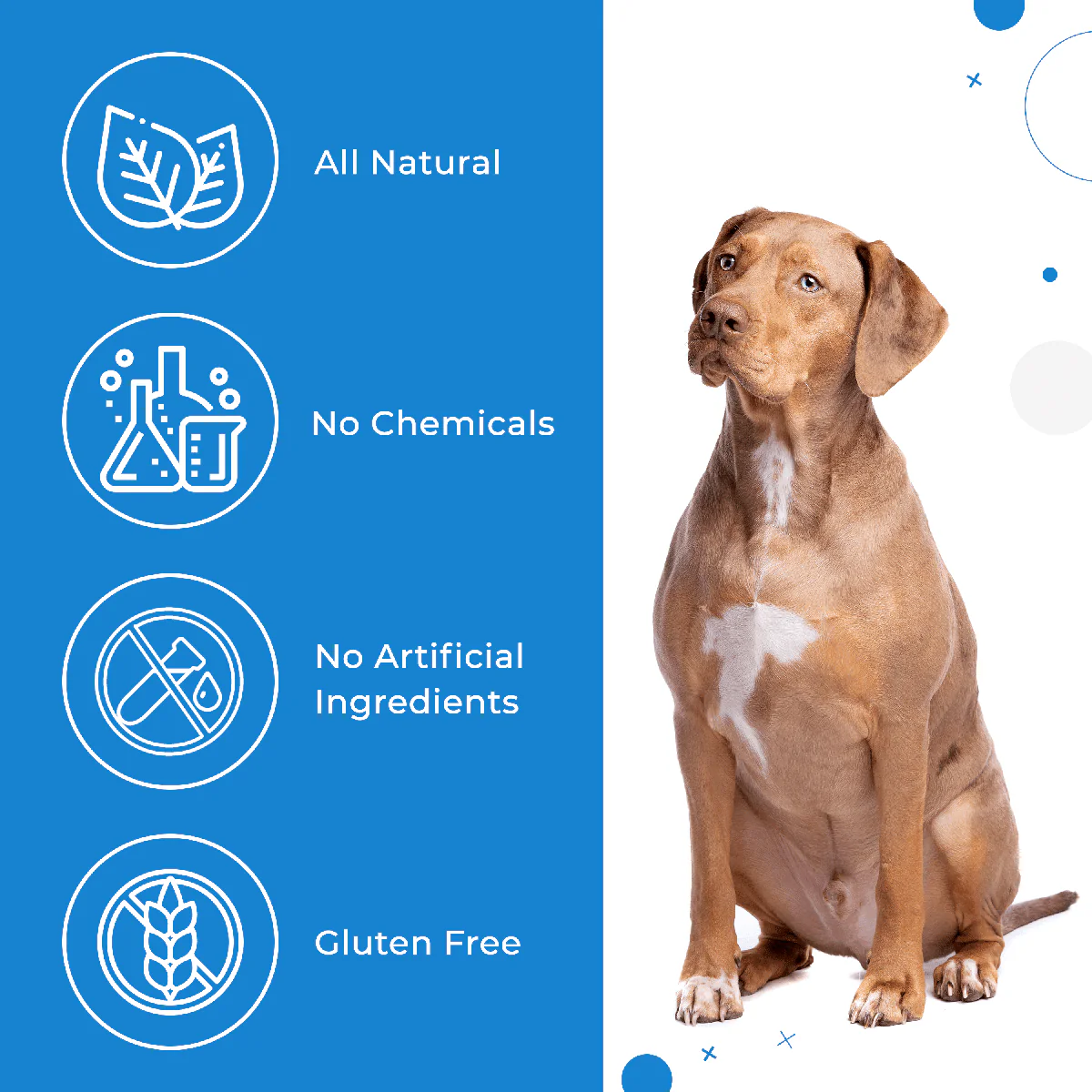 Natural Weight Loss & Thyroid Support Supplement for Dogs & Cats by BestLife4Pets - Image 7