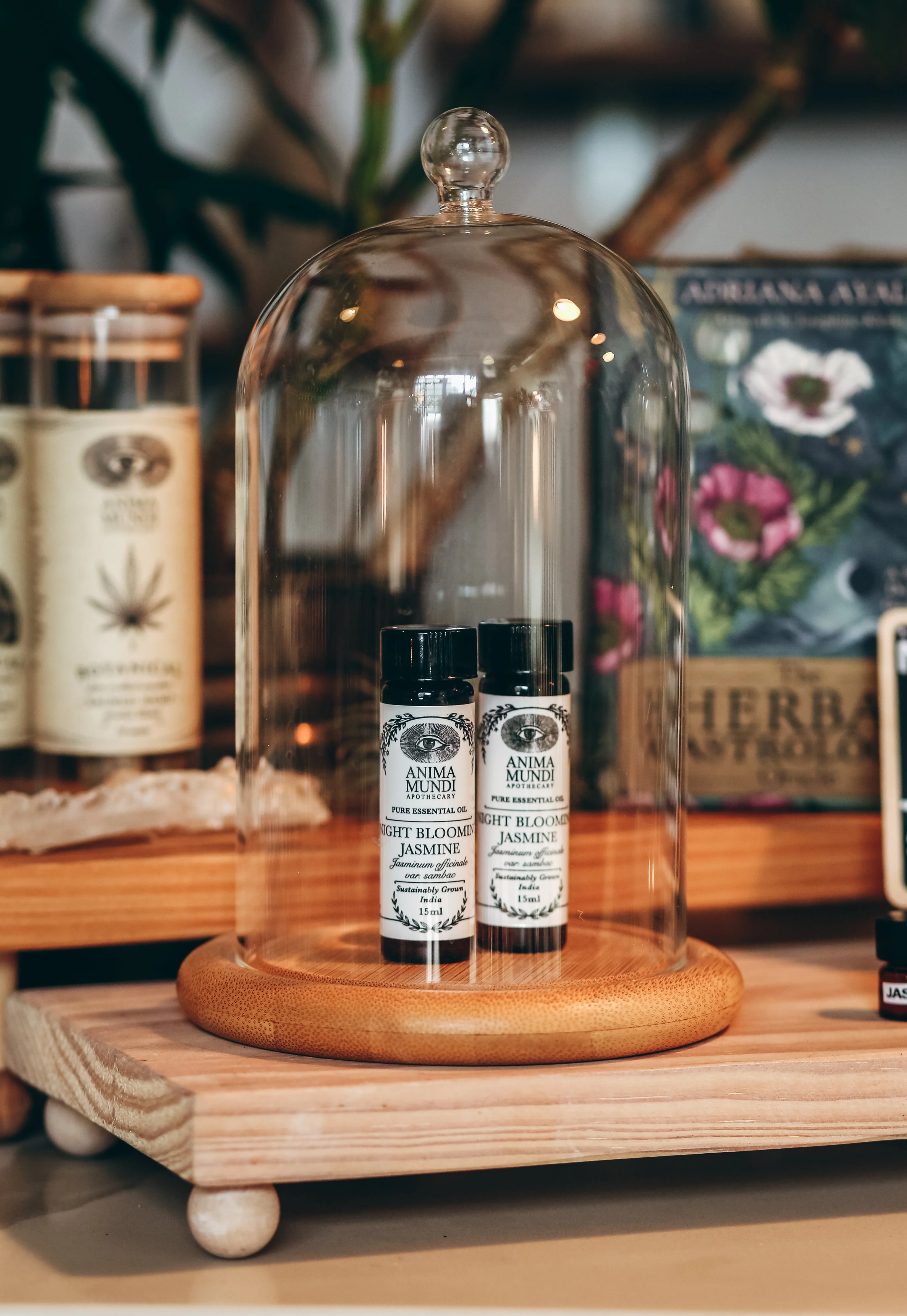 NIGHT BLOOMING JASMINE Essential Oil | Sustainably Cultivated - Image 5
