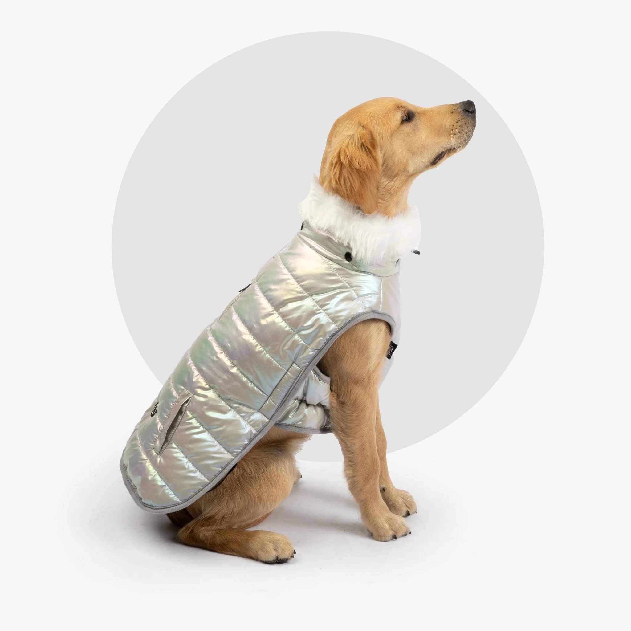 Nikka Iridescent Dog Jacket | Warm, Stylish & Leash-Friendly with Poop Bag Dispenser - Image 2