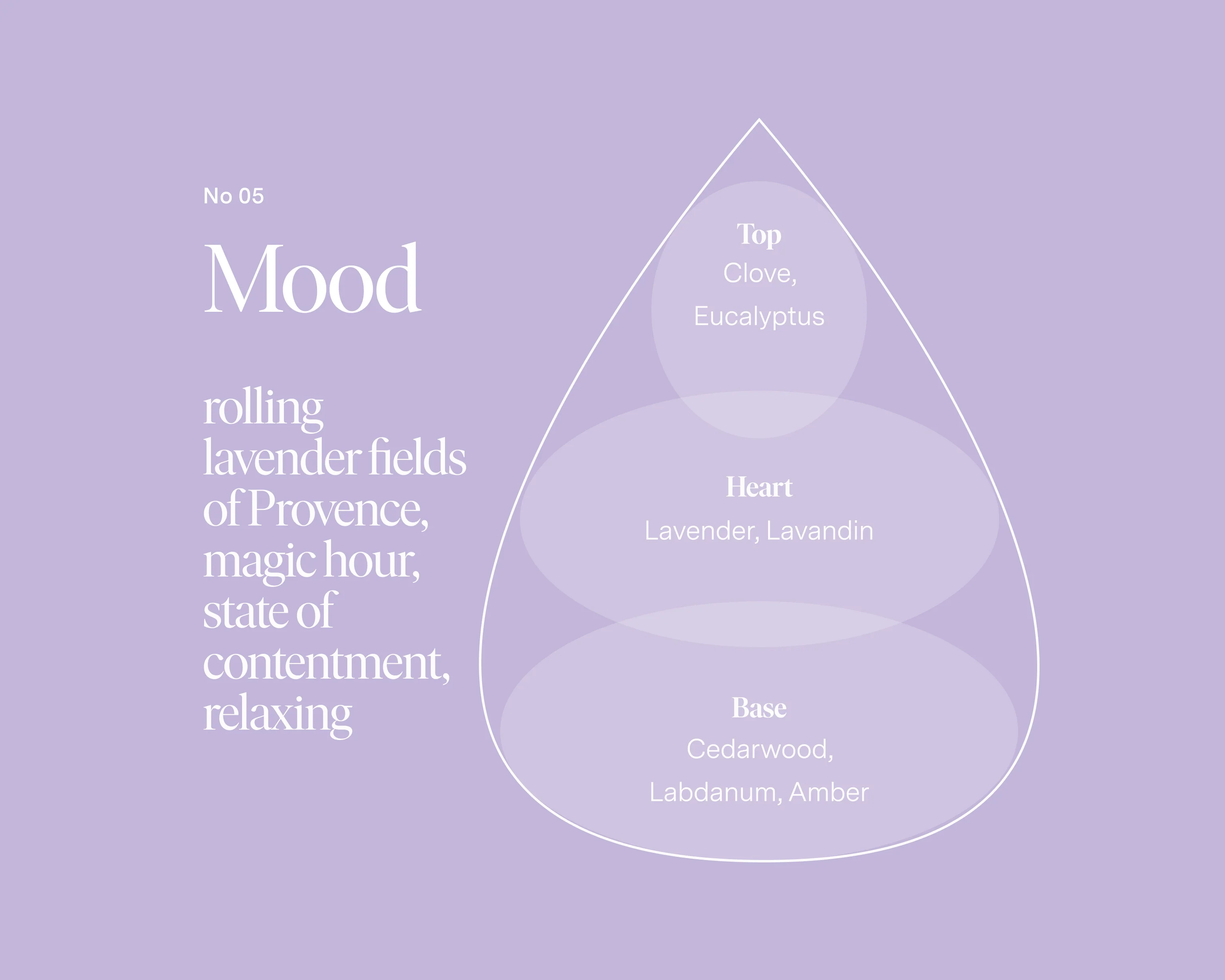 No 05 — Clove, Lavender, Cedarwood - Image 3