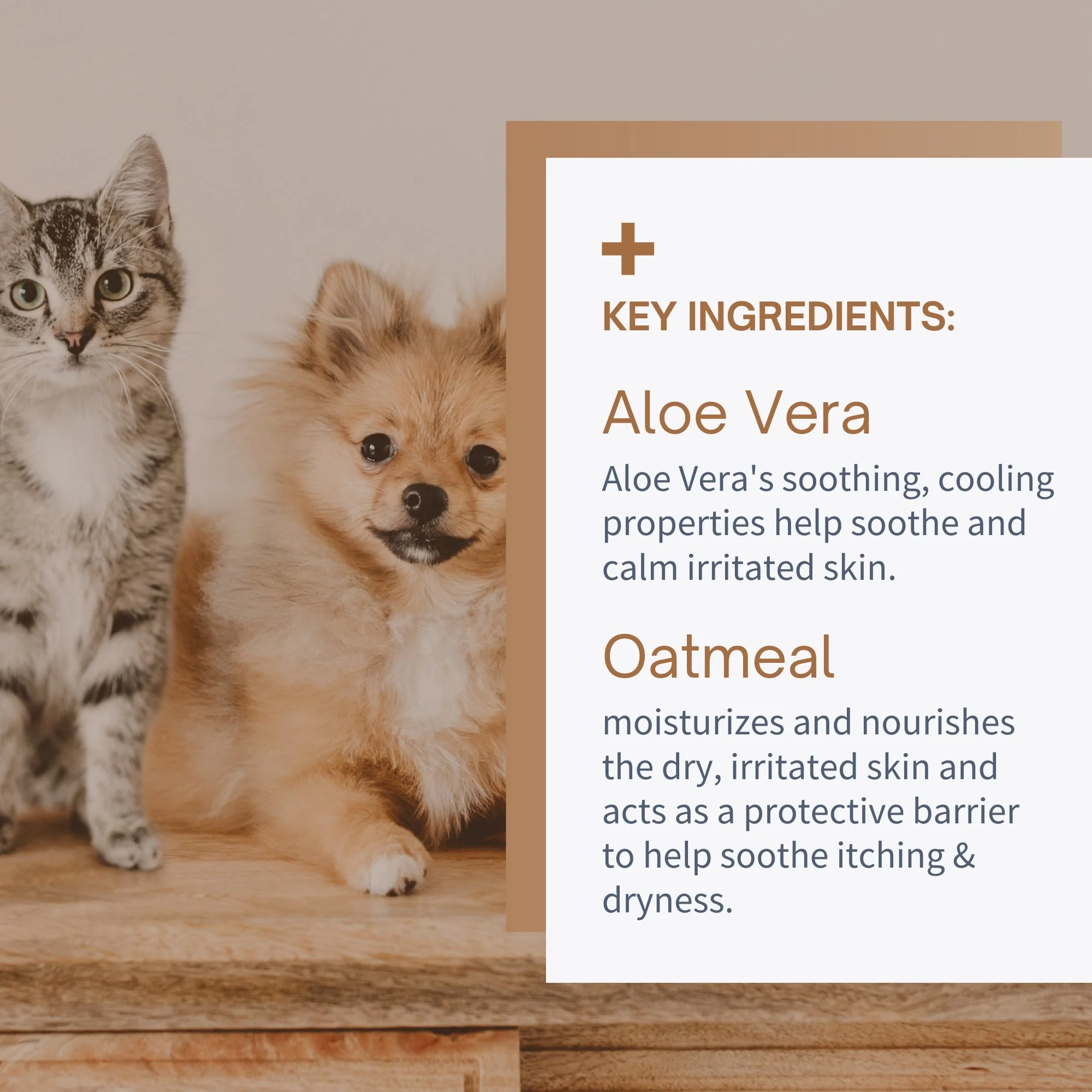 Oatmeal & Aloe Shampoo for Dogs and Cats - 12oz - Image 4