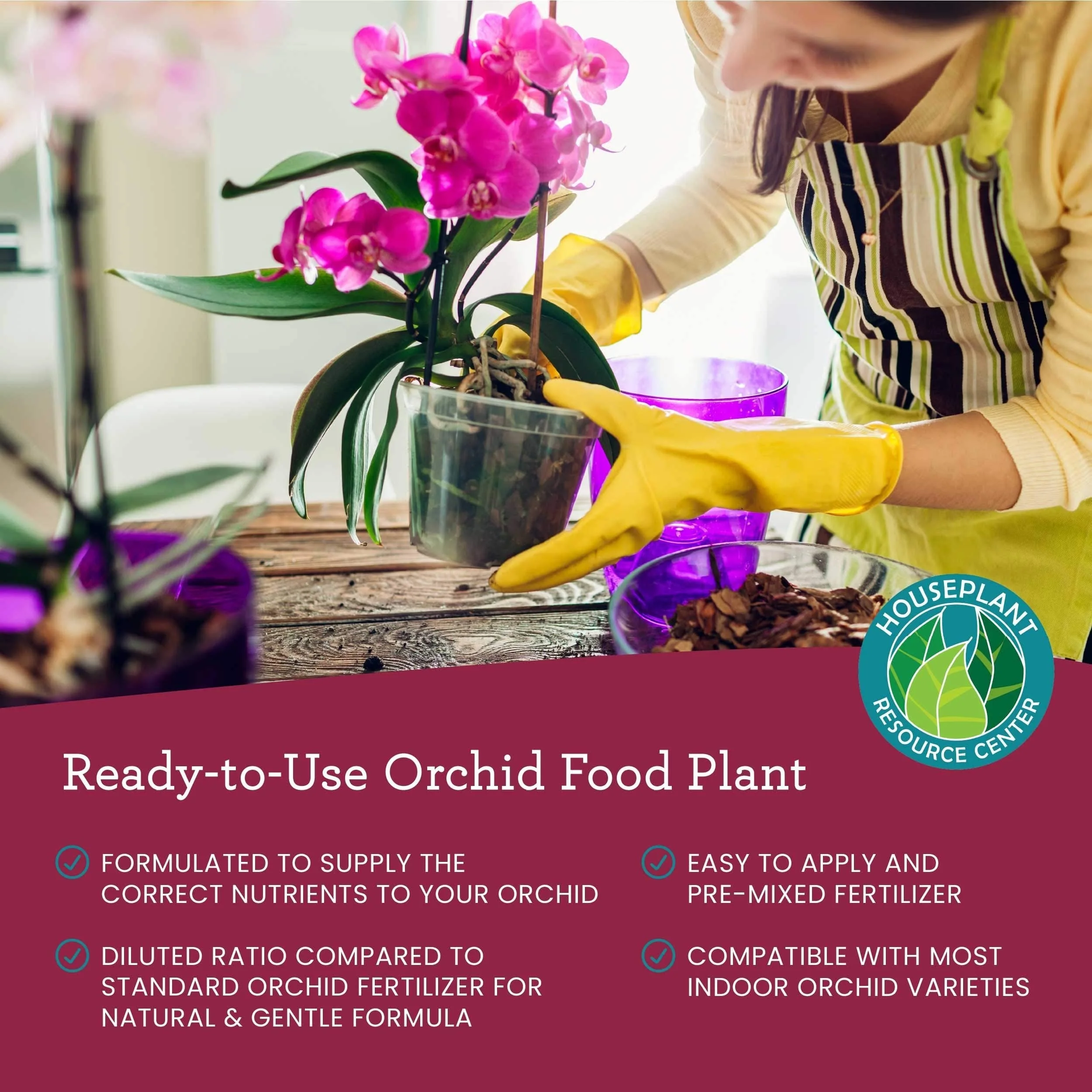 Orchid Food Fertilizer Spray by Houseplant Resource Center | Liquid Fertilizer Mist Designed for Orchids (8 Fluid Ounces) by Houseplant Resource Center - Image 3