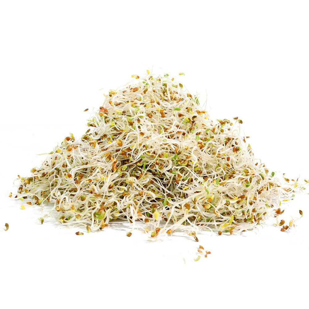 Organic Alfalfa Sprouting Seed - Image 4