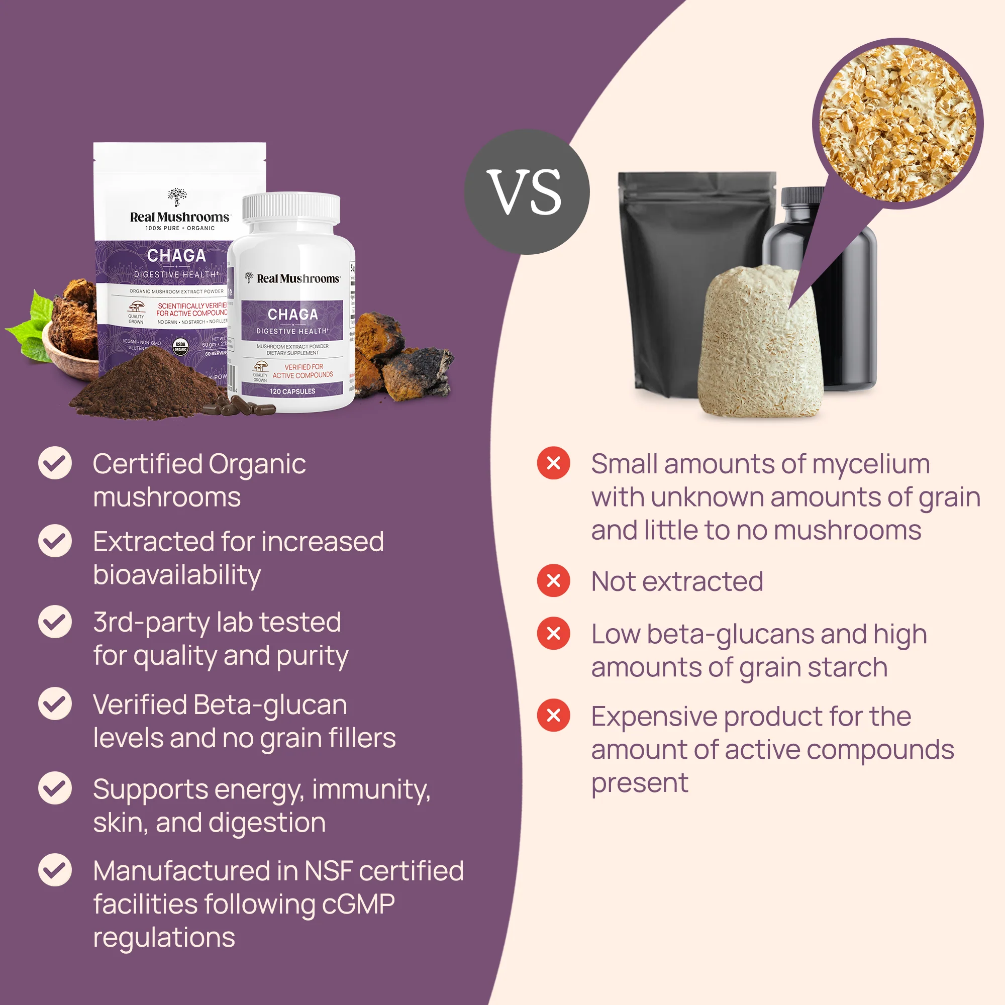 Organic Chaga Extract Powder by Real Mushrooms - Image 3