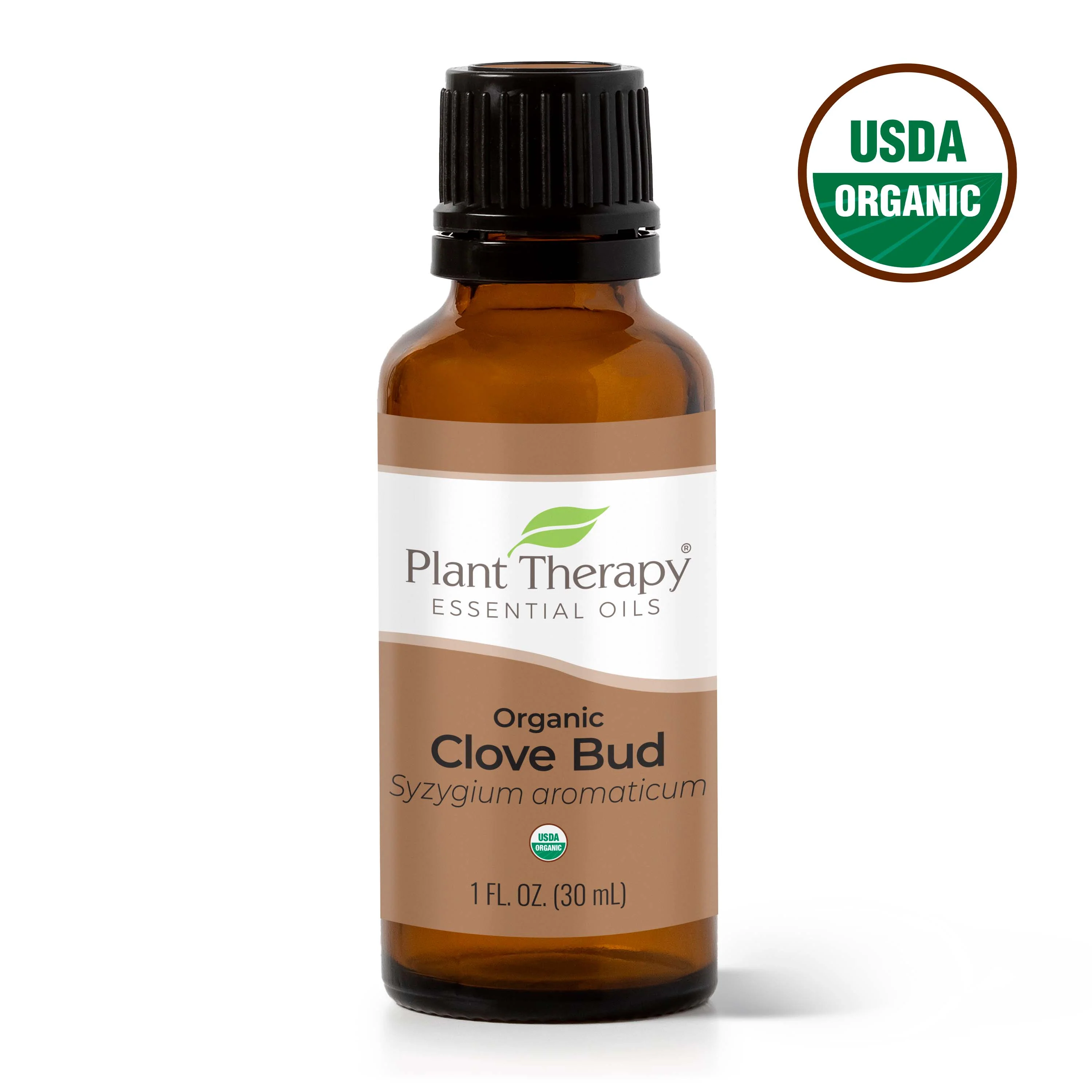 Organic Clove Bud Essential Oil - Image 6