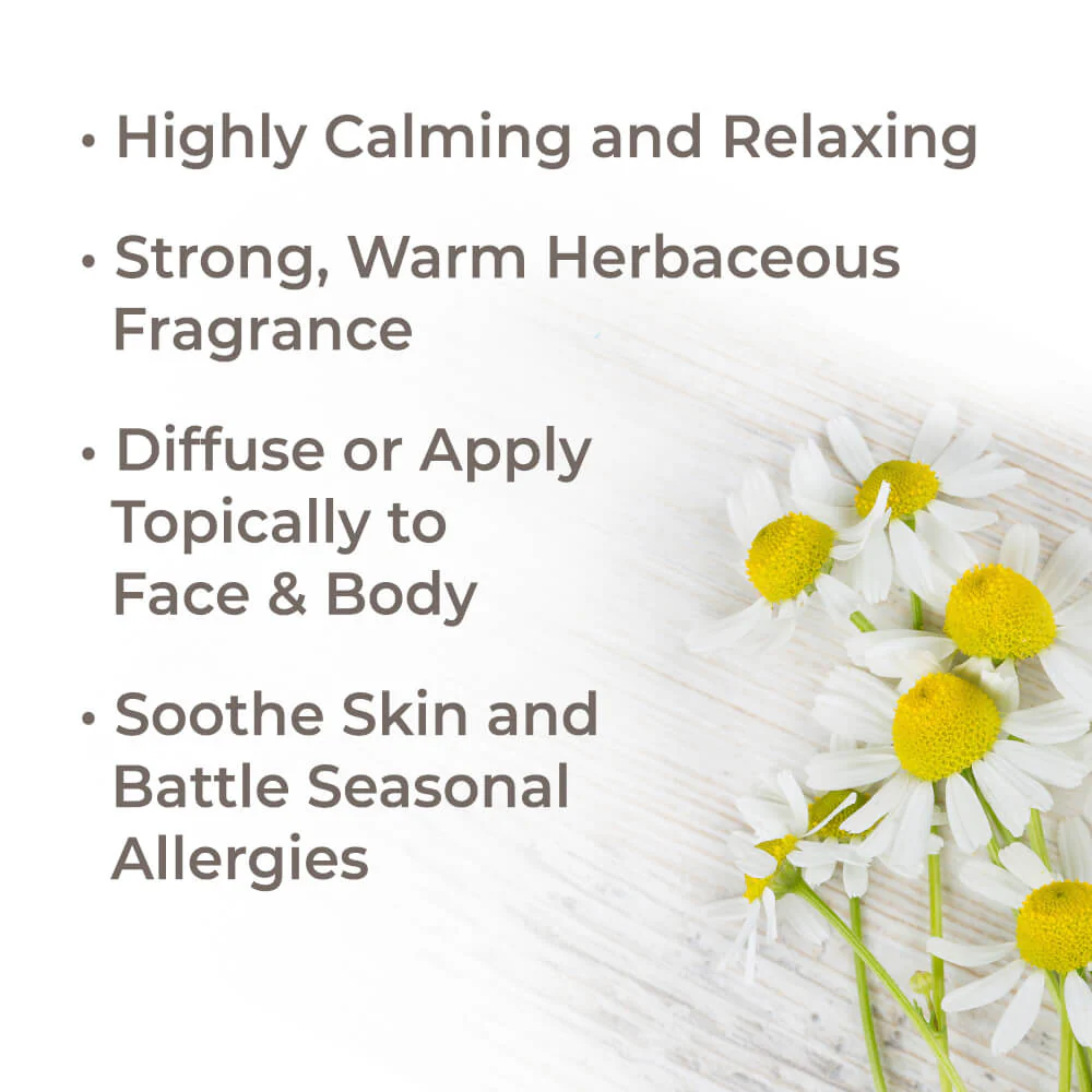 Organic German Chamomile Essential Oil - Image 2