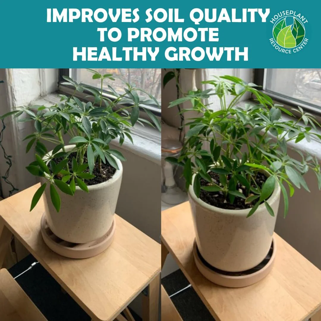 Organic Houseplant Probiotic Powder | Soil Conditioner to Improve Soil Structure, Balance pH, Enhance Soil Bioavailability and Improve Growth, Blooms, Yield | Fast Acting | Indoor and Outdoor Plants by Houseplant Resource Center - Image 2