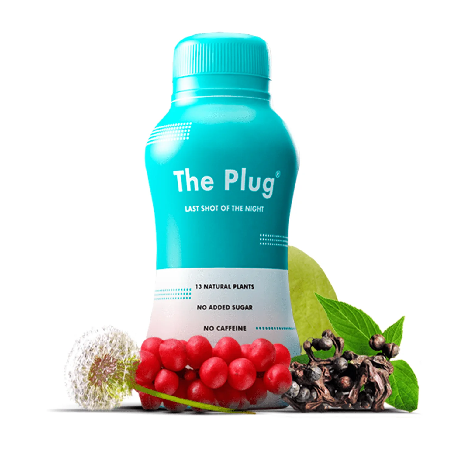 Organic Liver Detox Drink | The Plug Drink by The Plug Drink - Image 9