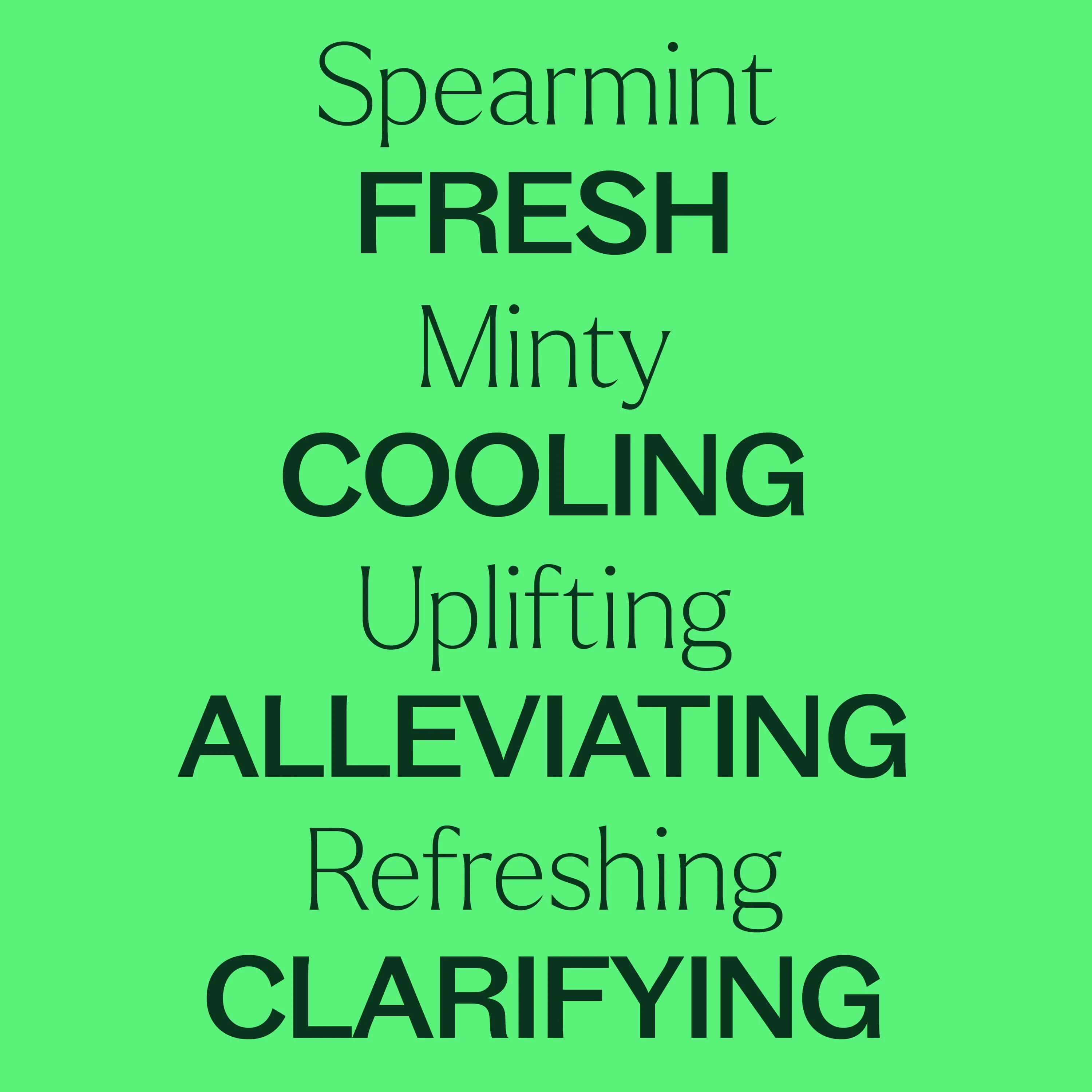 Organic Spearmint Essential Oil - Image 4