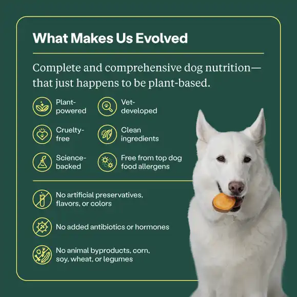 Performance Formula Dog Food by Wild Earth - Image 2
