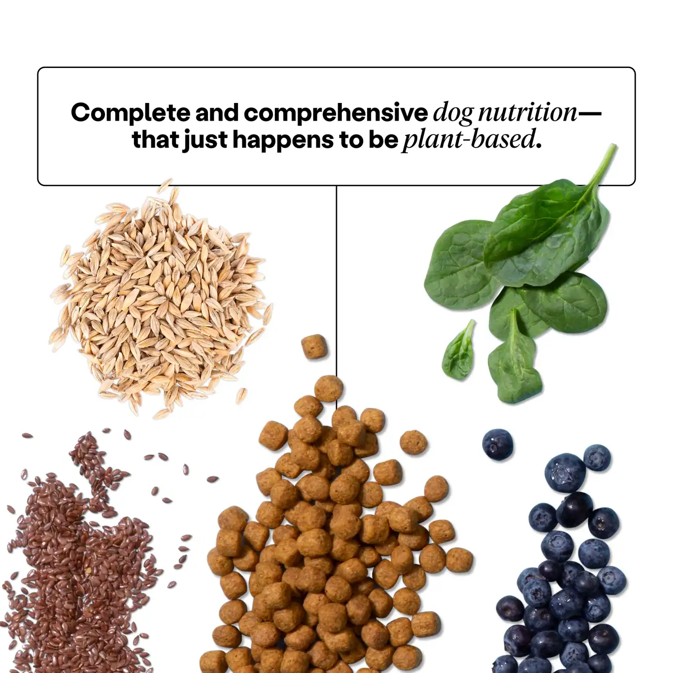 Performance Formula Dog Food by Wild Earth - Image 8