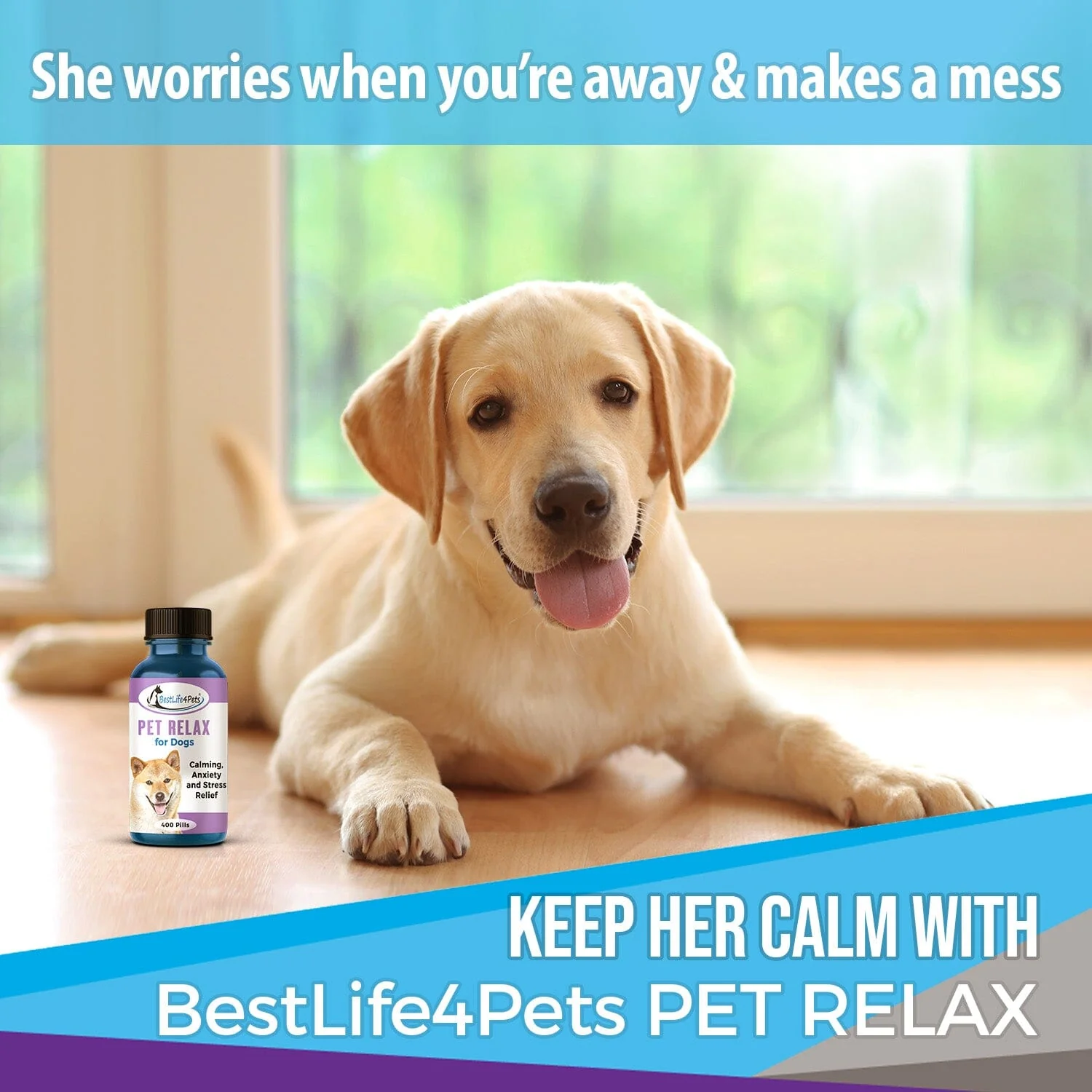 Pet Relax Dog Anxiety and Calming Relief Formula by BestLife4Pets - Image 5