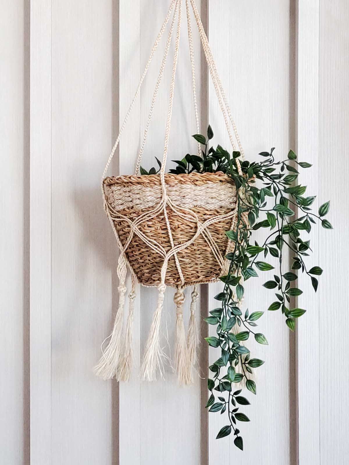 Plant Hanger - Bitan - Image 5
