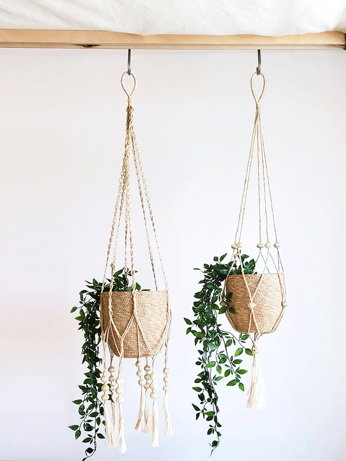 Plant Hanger - Fiora - Image 3