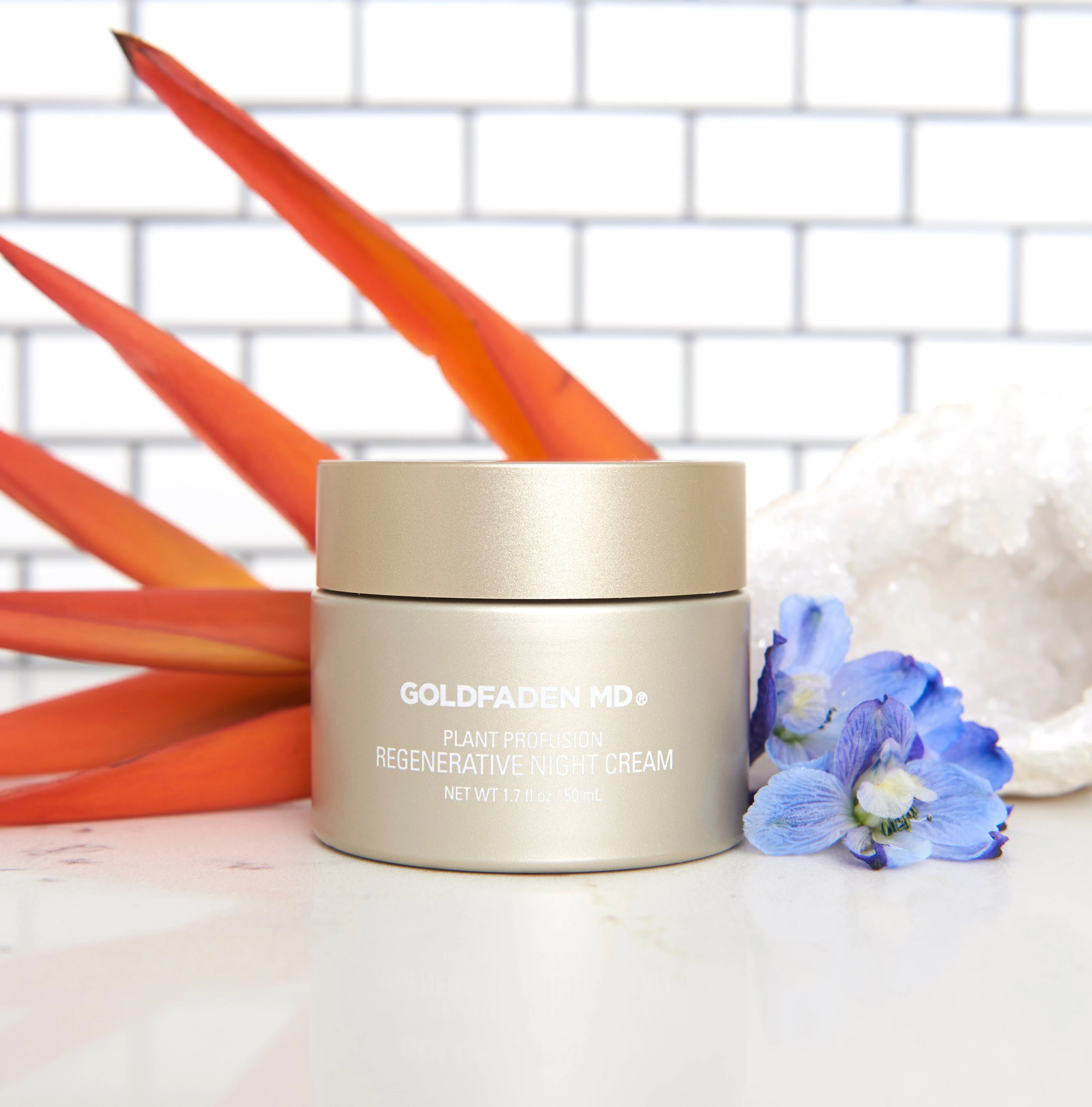 Plant Profusion Night Cream - Image 2