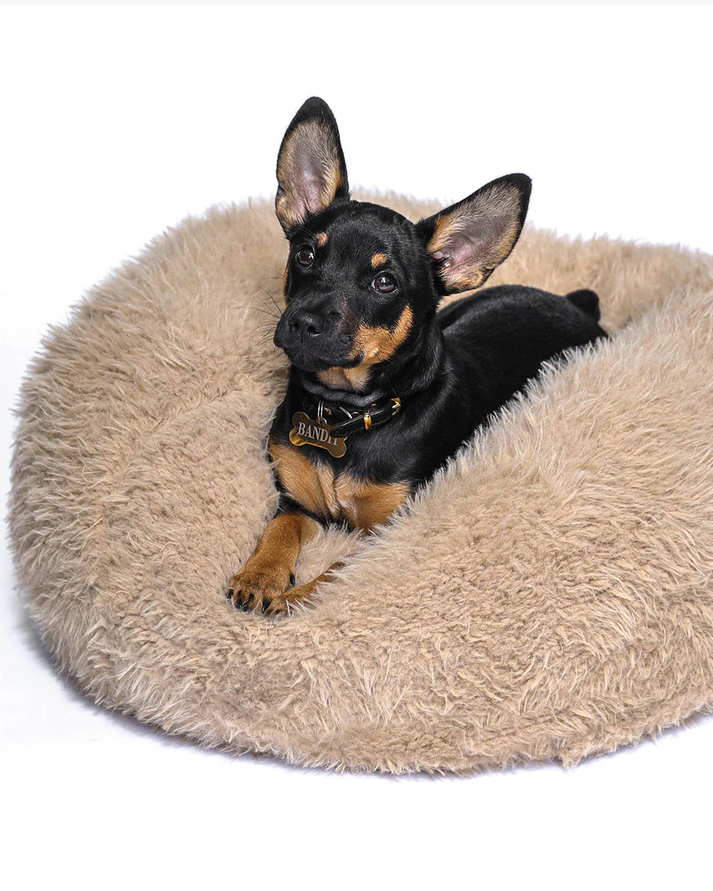 POD DOG BED by MODERNBEAST - Image 7
