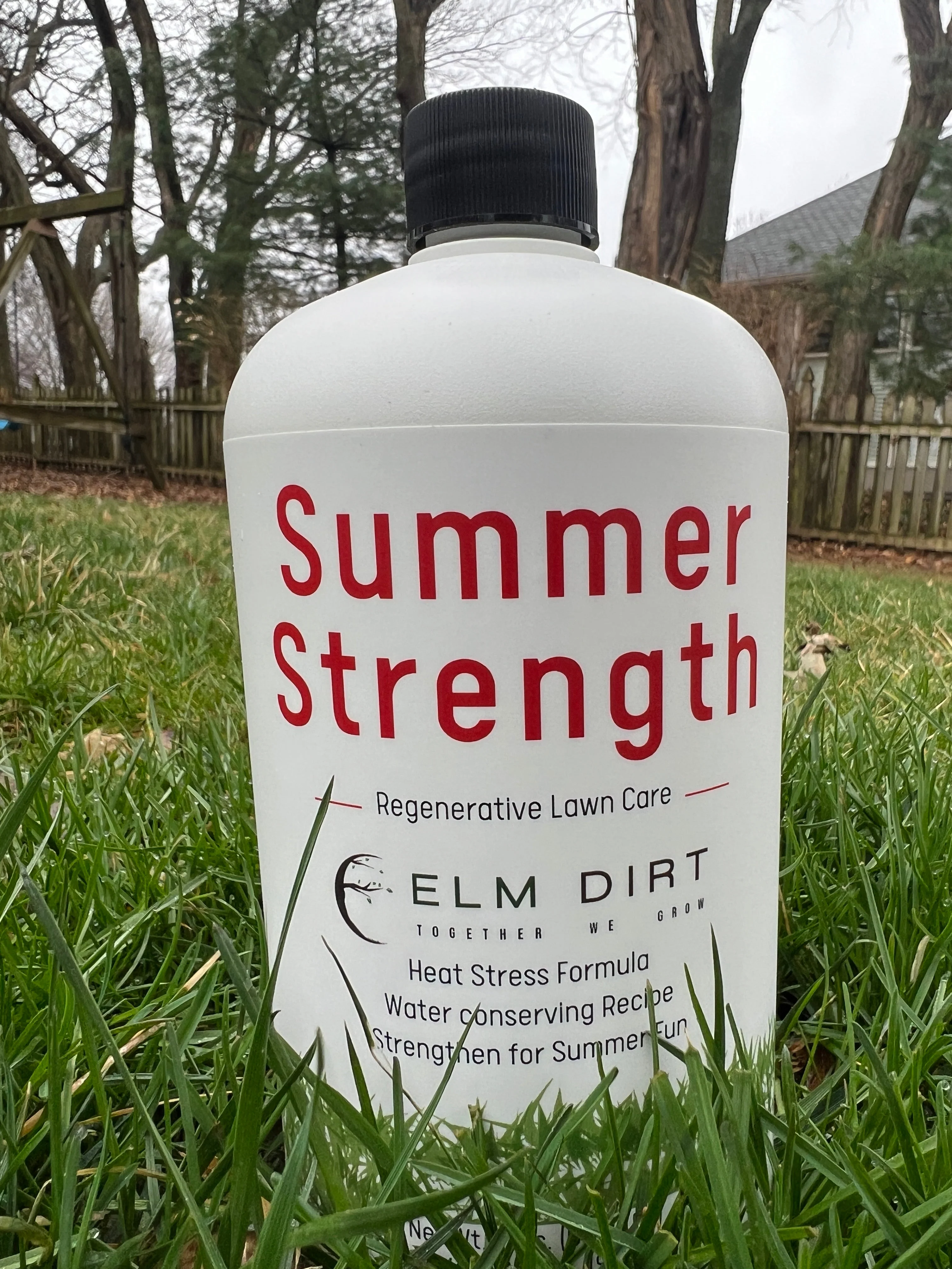 Regenerative and Sustainable Lawn Care by Elm Dirt - Image 5