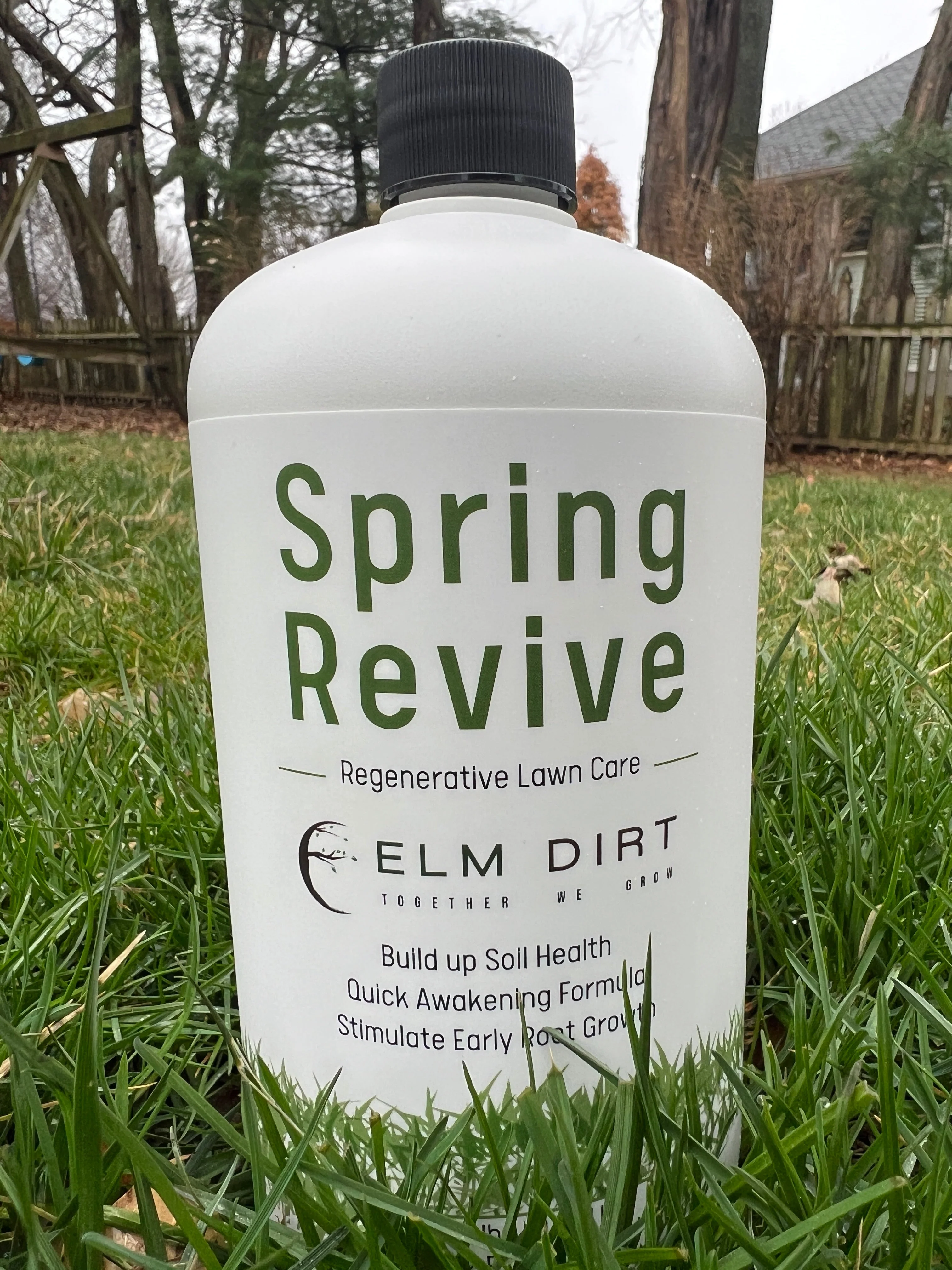 Regenerative and Sustainable Lawn Care by Elm Dirt - Image 6