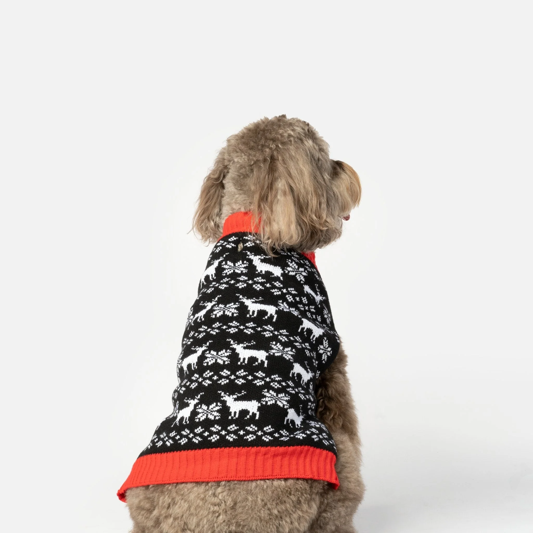 Reindeer Dog Sweater - Image 4