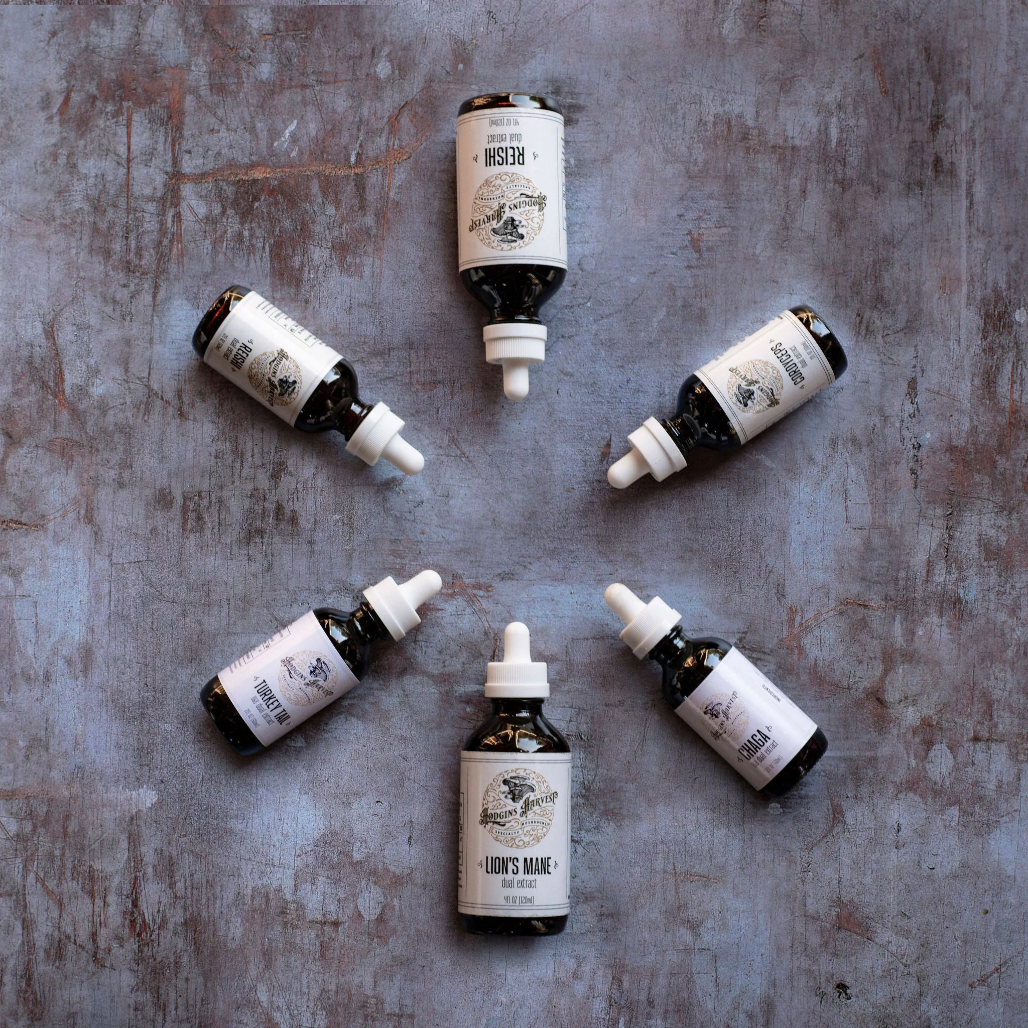 Reishi Dual Extract Tincture by Hodgins Harvest - Image 3