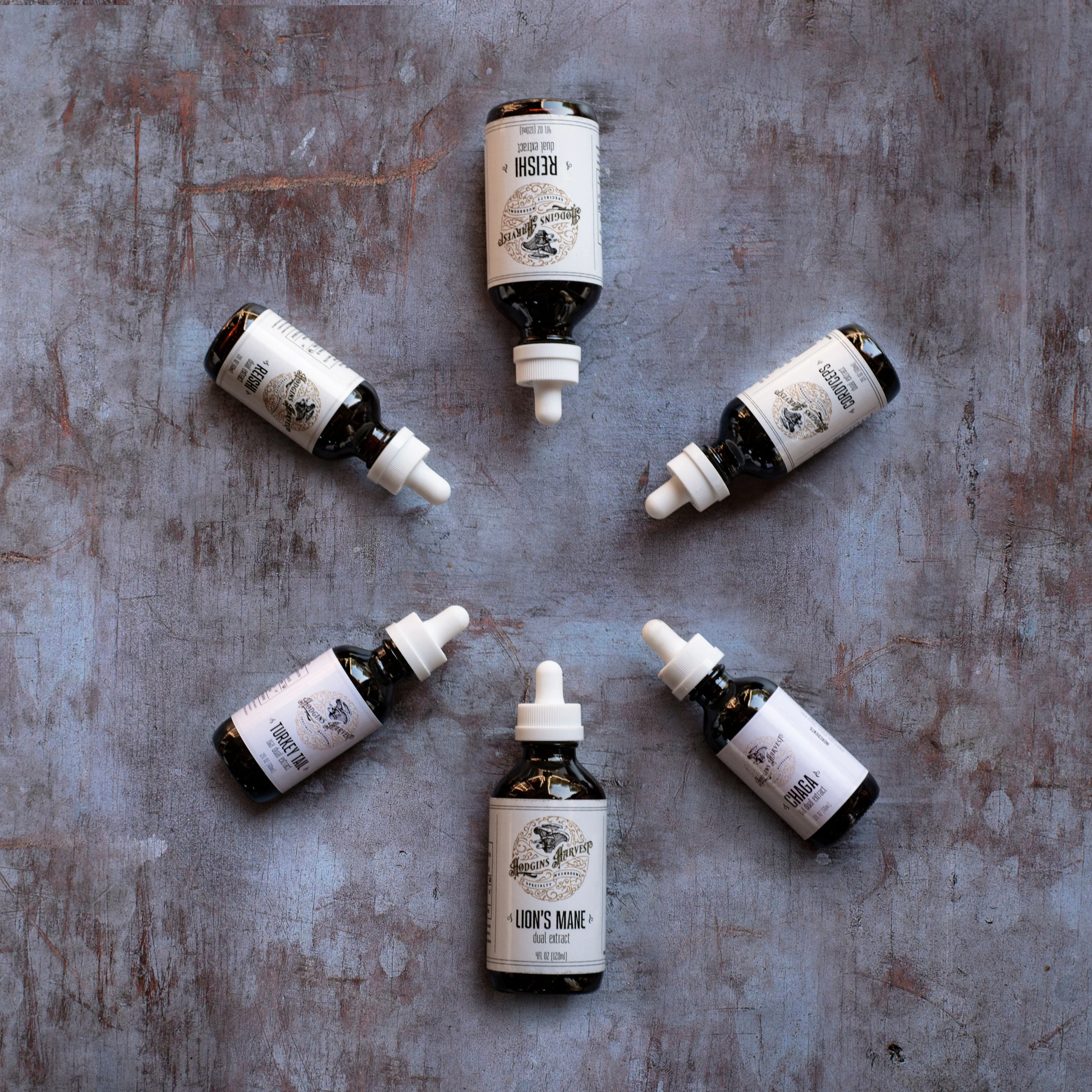 Reishi + Turkey Tail Dual Extract Tincture by Hodgins Harvest - Image 2