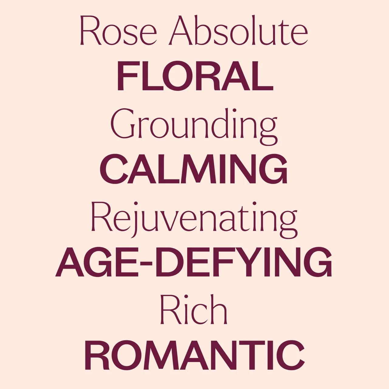 Rose Absolute Essential Oil - Image 3