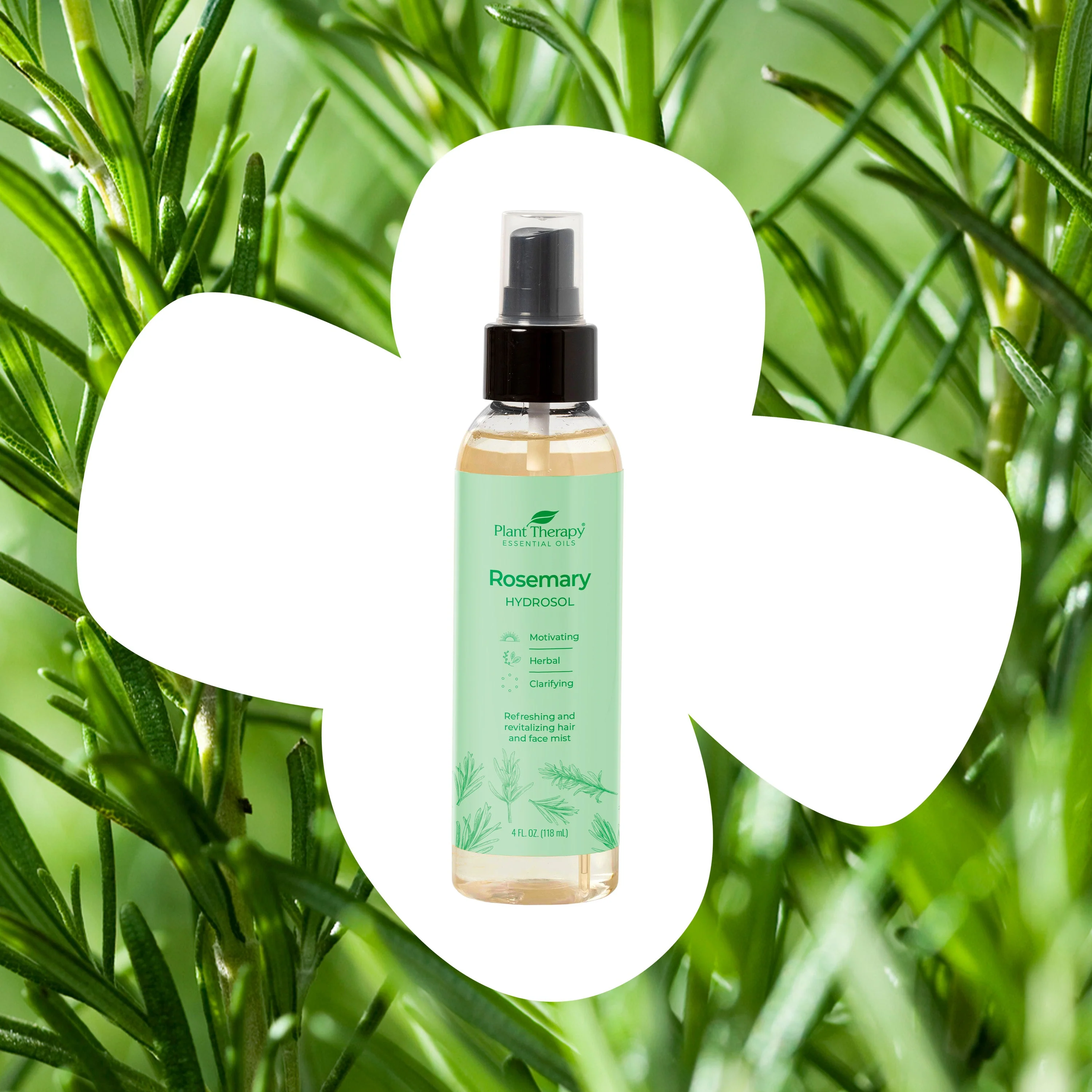 Rosemary Hydrosol - Image 3