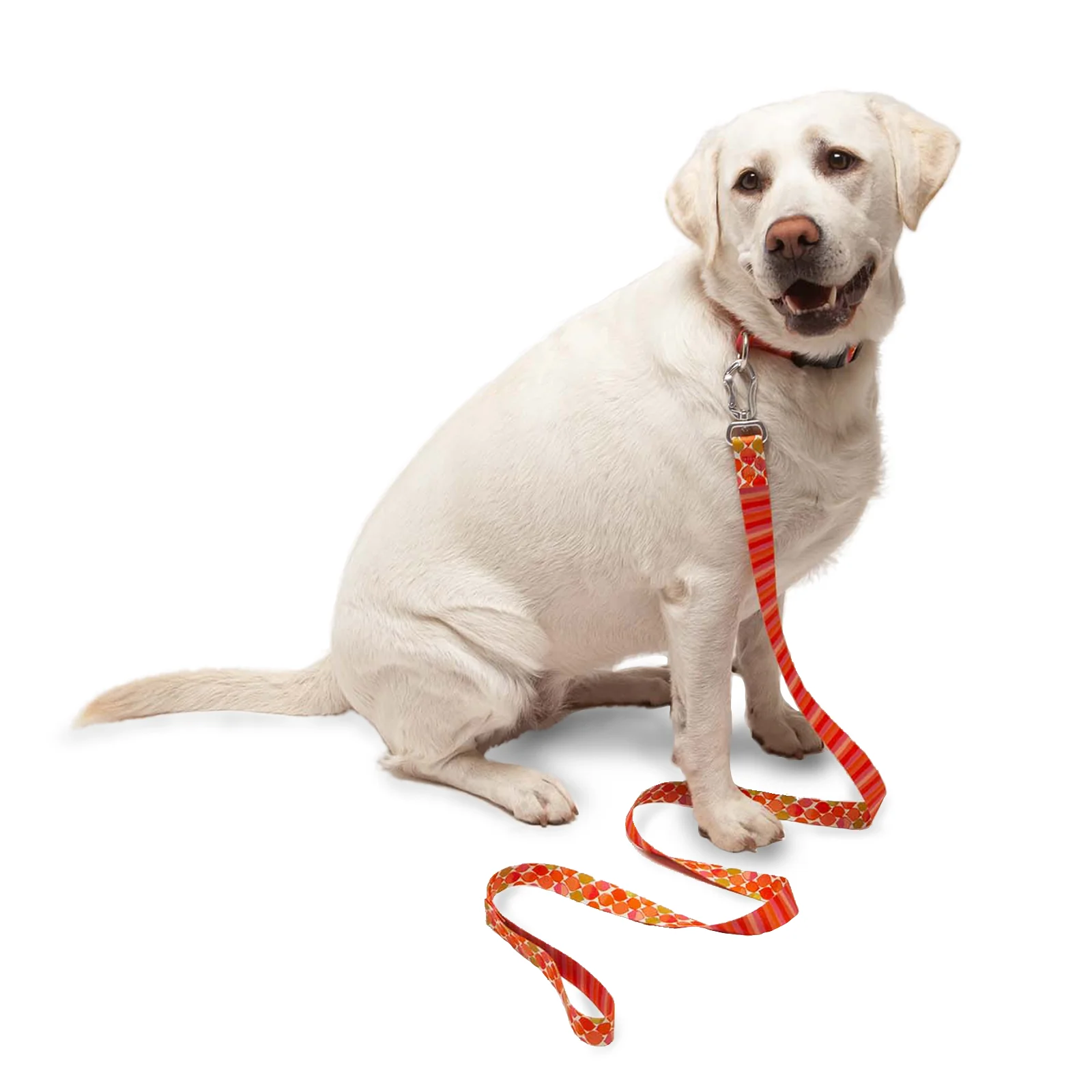 Seawoof Dog Leash Pink Paints Print - Image 7
