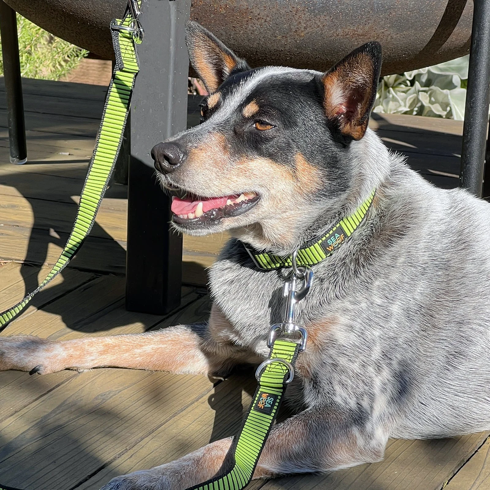 Seawoof Multi-Function Adjustable Leash - Image 6