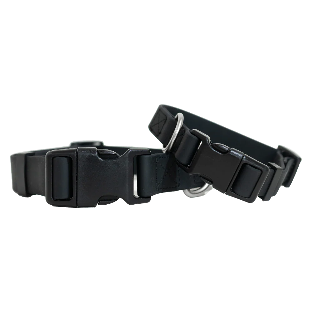Small Dog Collar