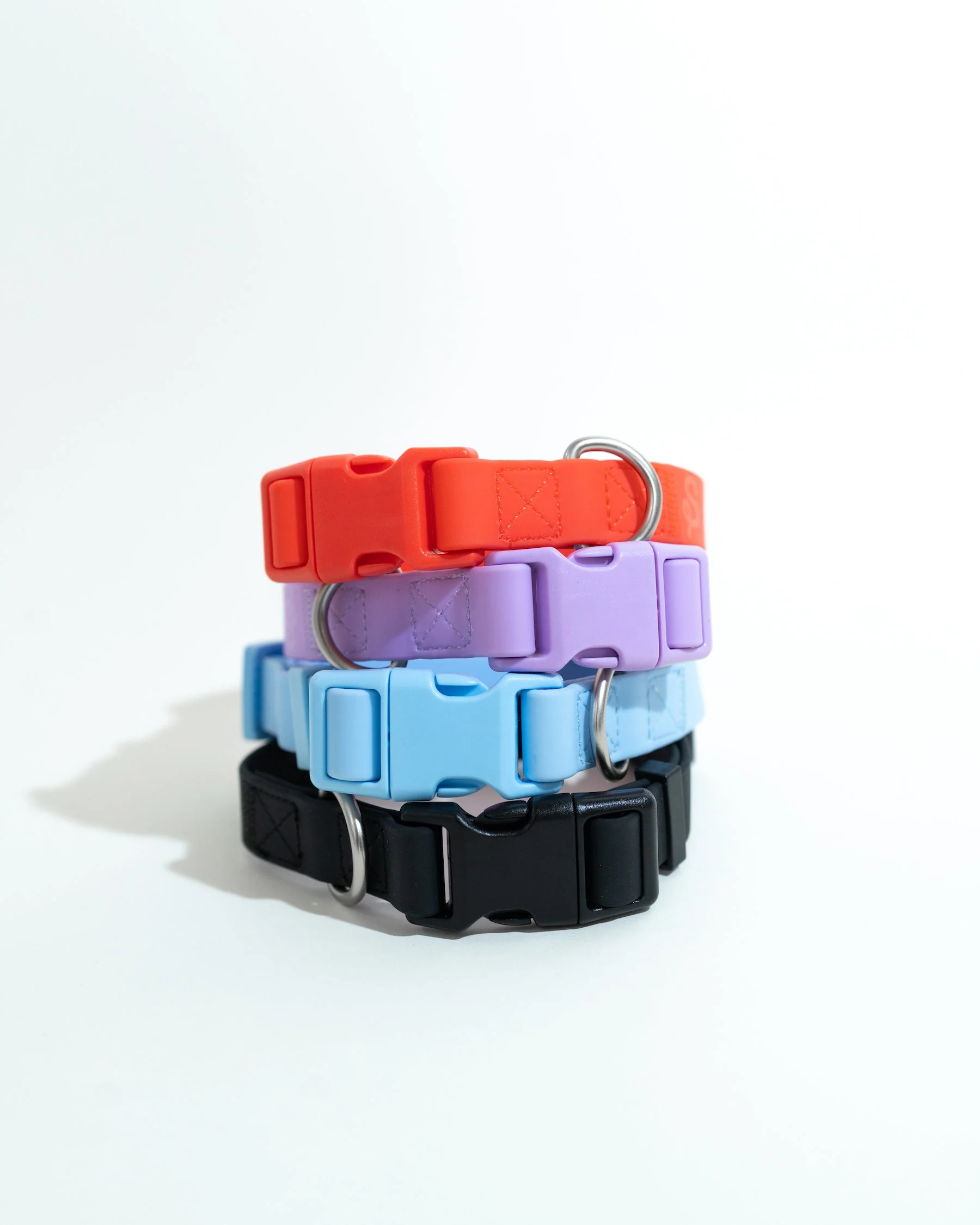Small Dog Collar - Image 14