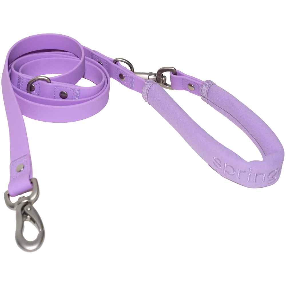 Small Dog Leash - Image 8