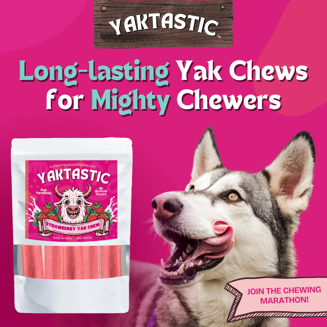 Strawberry Yak Chews - Image 2