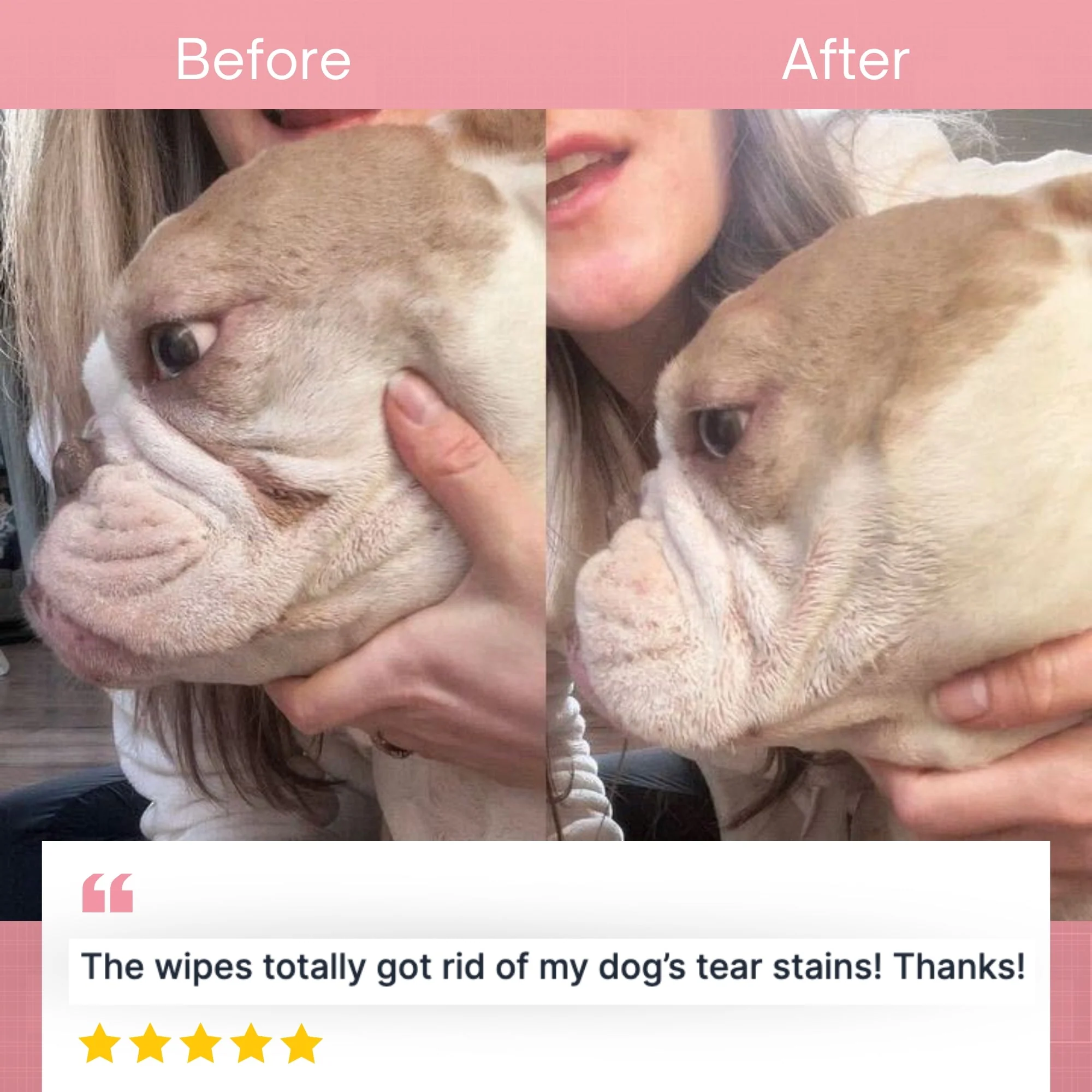 Tear Stain Eye & Facial Wipes for Dogs & Cats - Image 4