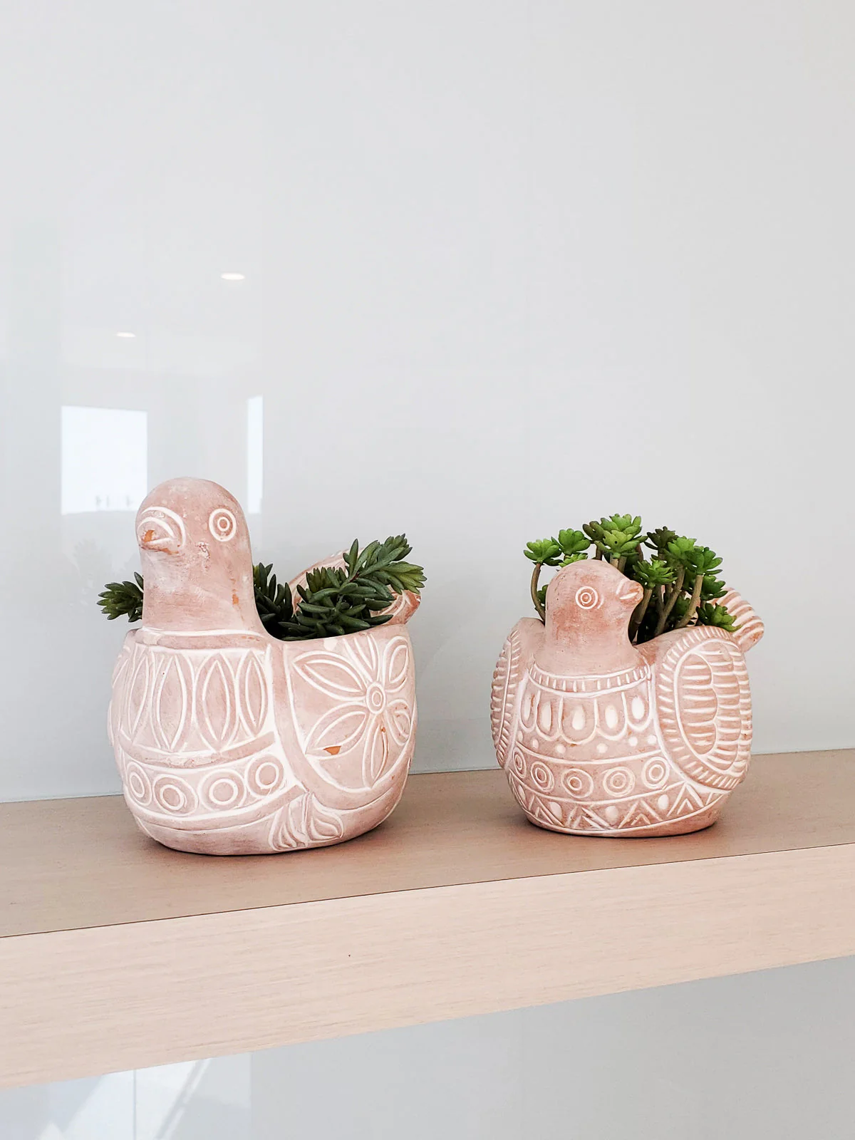 Terracotta Pot - Spotted Dove - Image 5