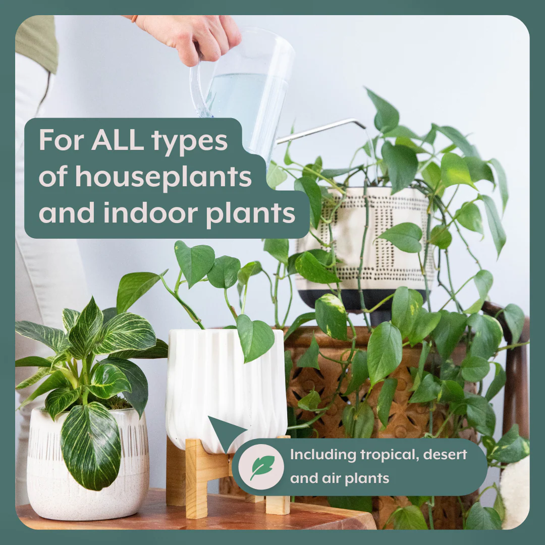 The Complete Plant Care Bundle (Plant Food + ProBiotics + Natural Pest Control) for HOUSEPLANTS by Instant Plant Food - Image 2