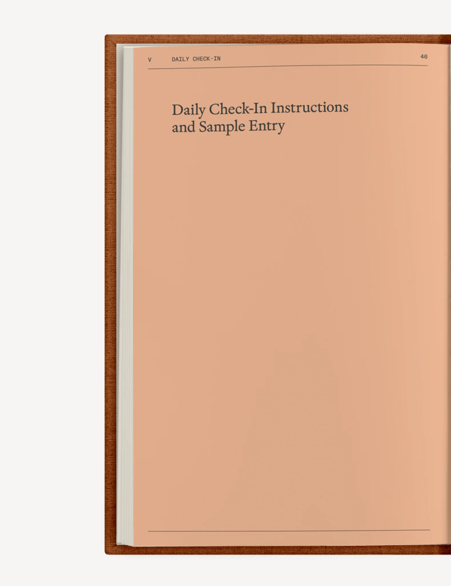 The Everyday Self-Care Set - Image 15