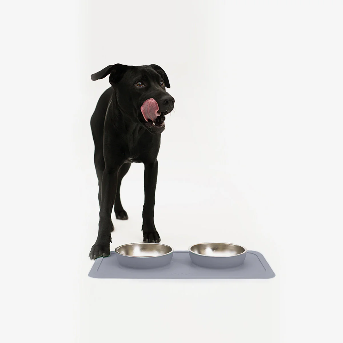The Good Bowl (16oz Double) - Image 7