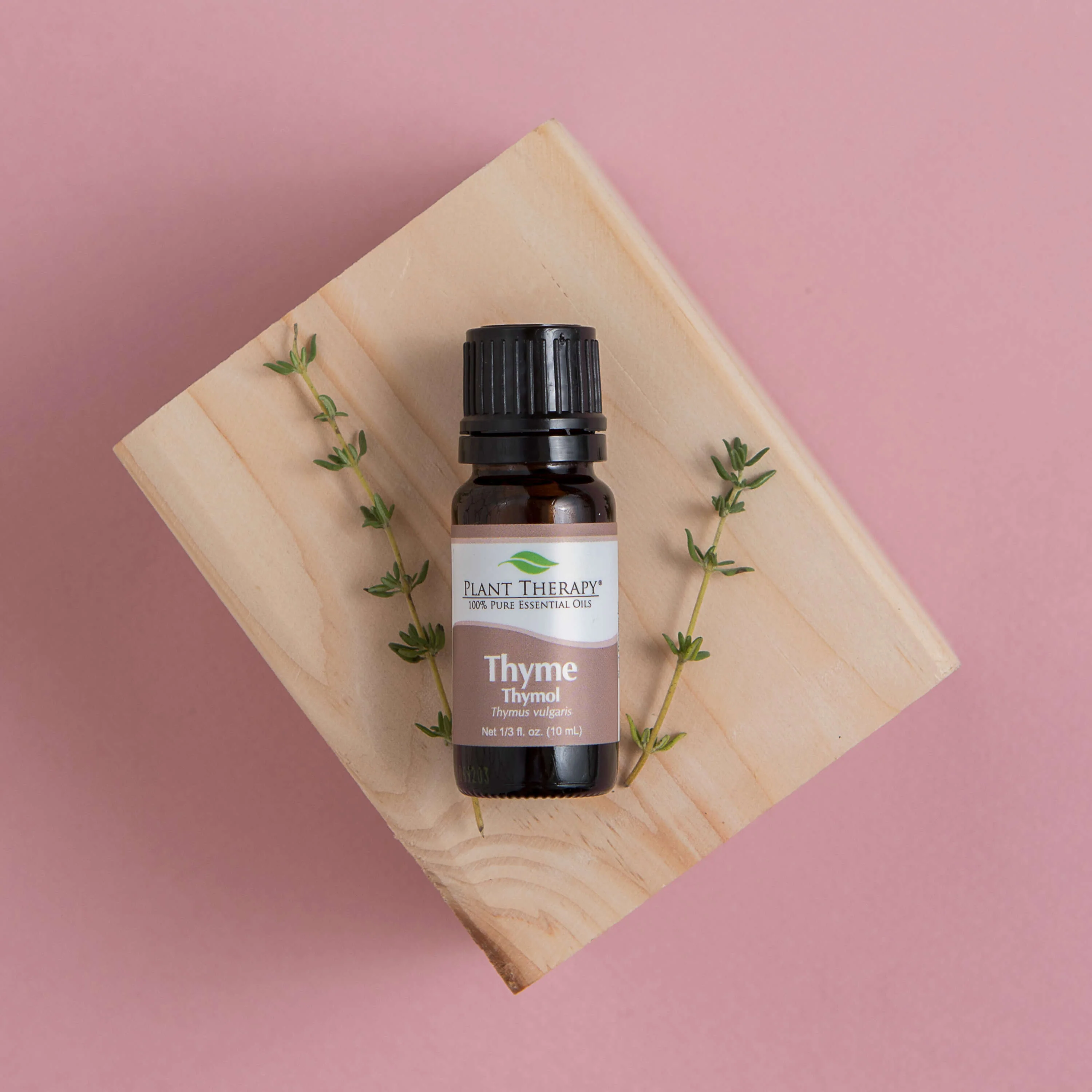 Thyme Thymol Essential Oil - Image 2