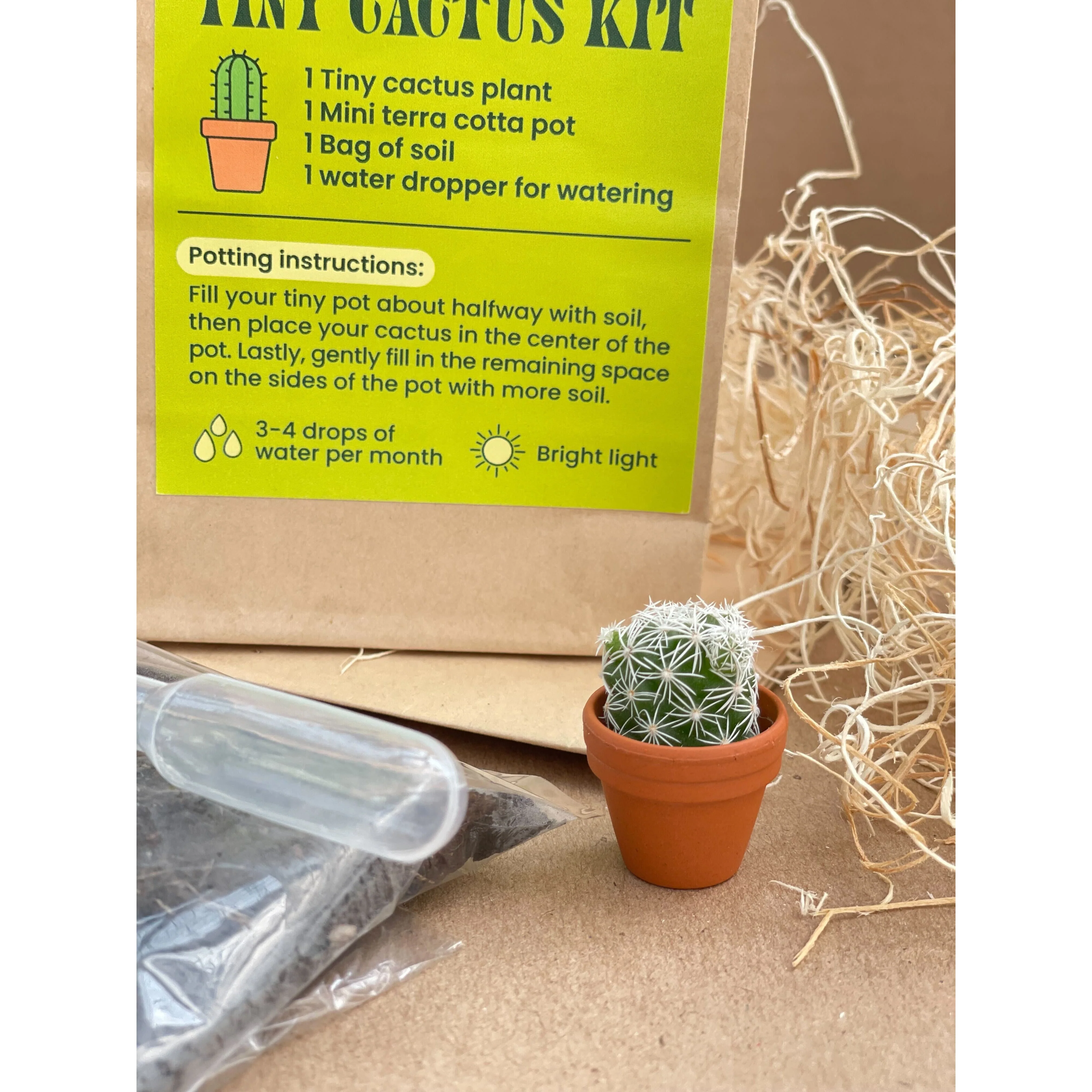 Tiny Cactus Kit - Image 3