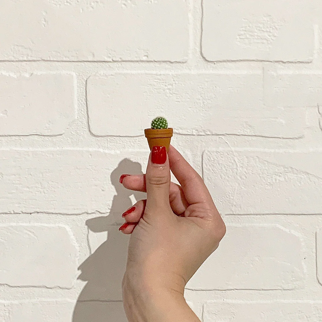 Tiny Cactus Kit - Image 5