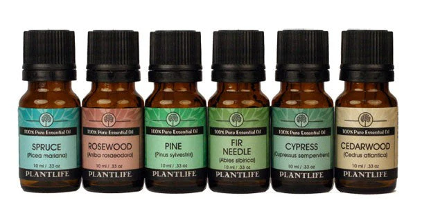 Tree Essential Oil Set - Image 2