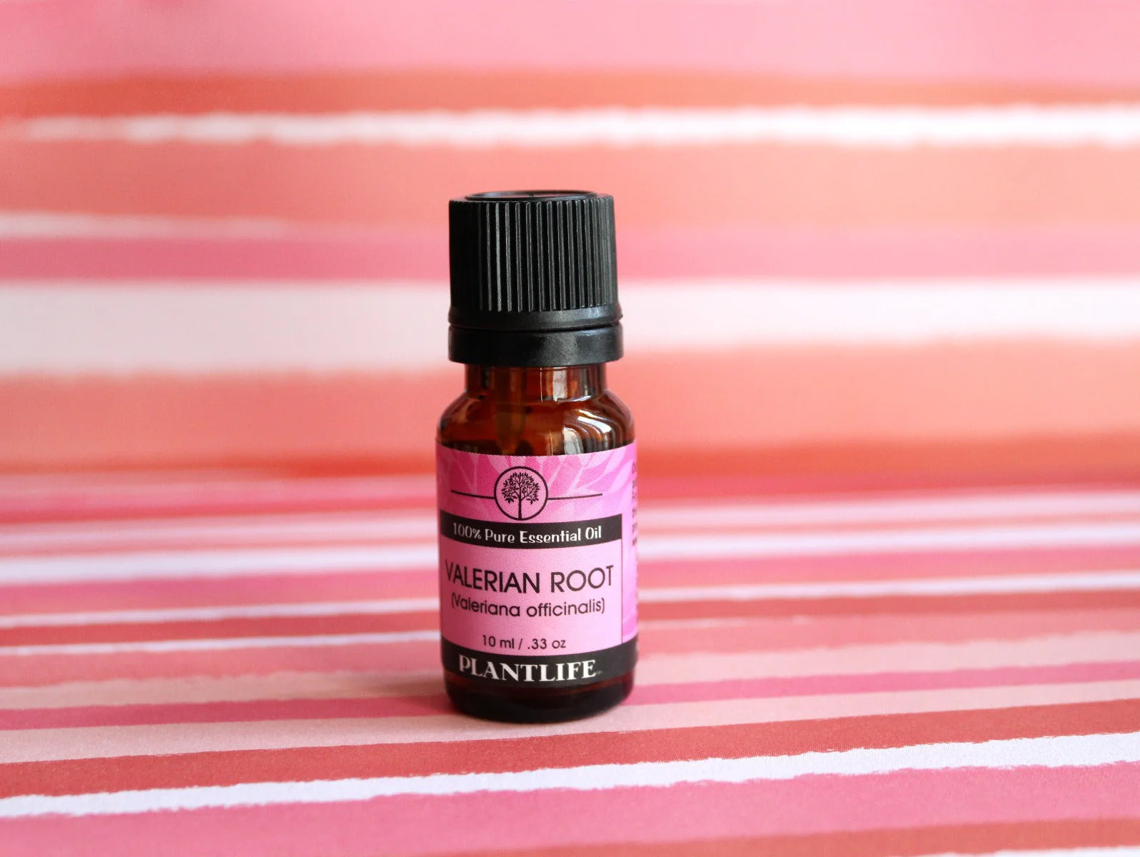 Valerian Root Essential Oil - Image 3