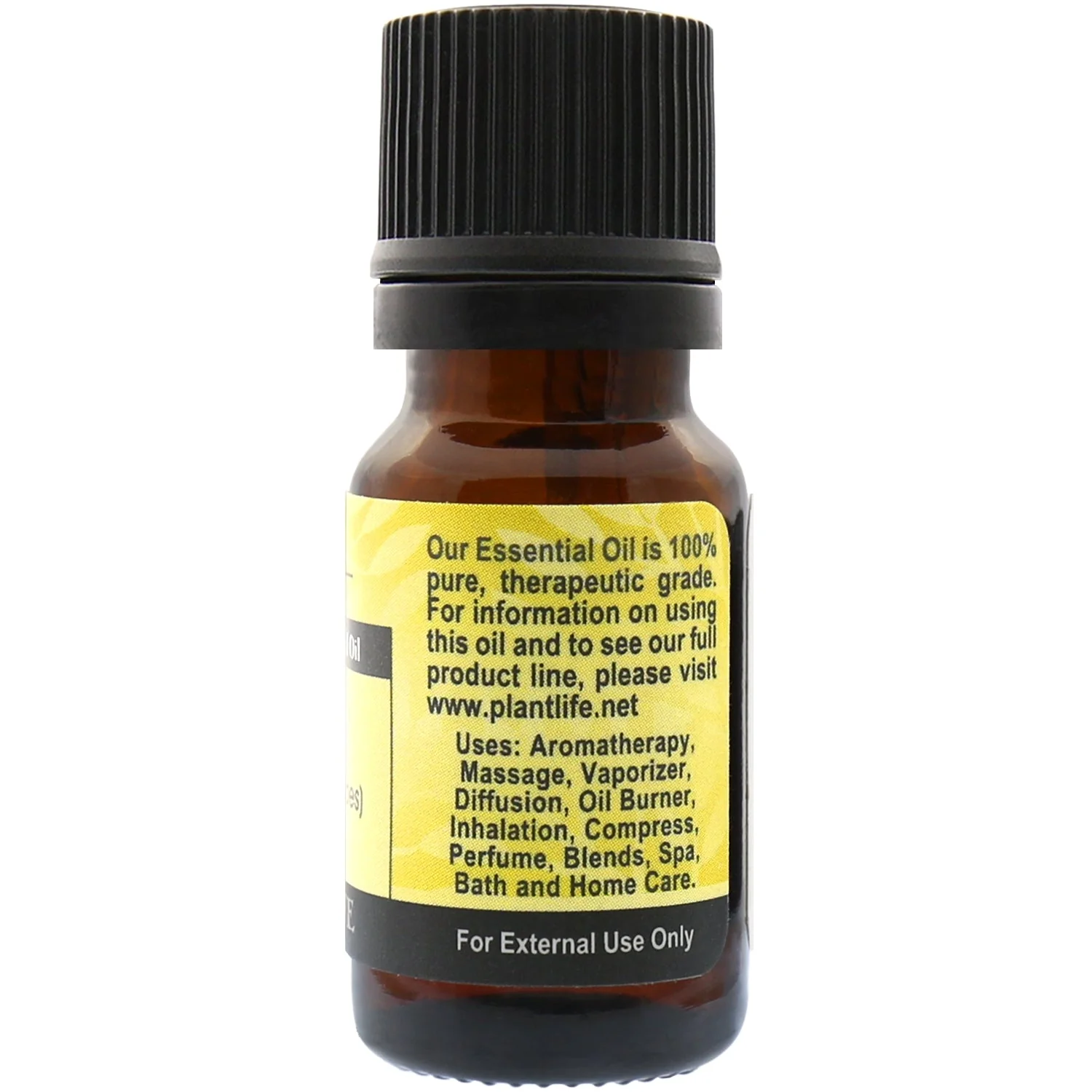 Vetiver Essential Oil - Image 2